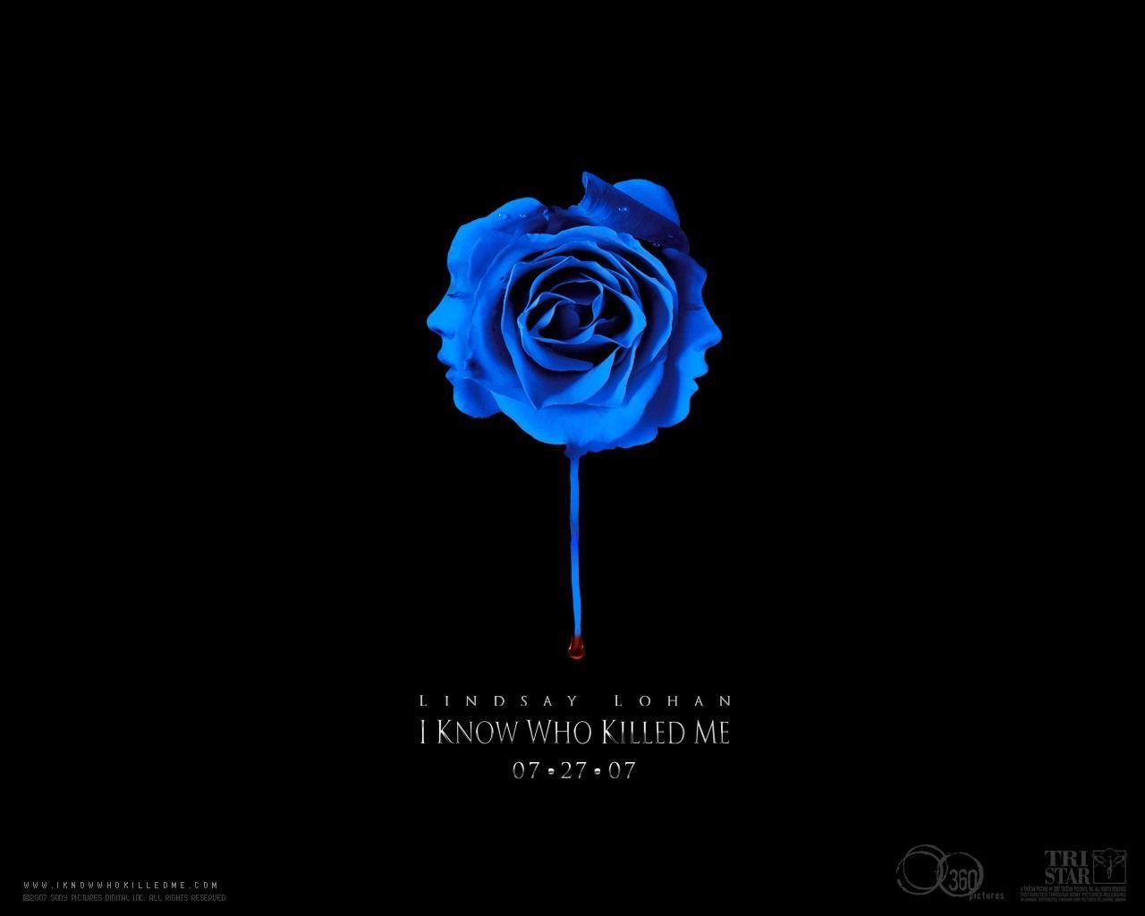 1280x1024 Desktop Wallpaper Know Who Killed Me, blue rose. Free Desktop Background 1280x1024
