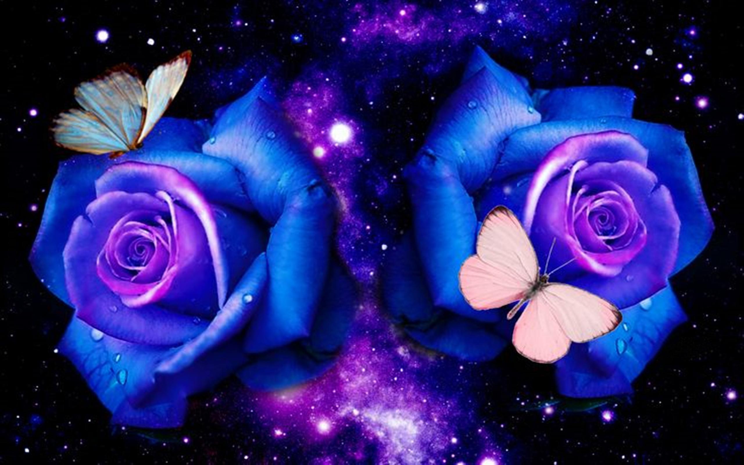 Dark Blue Rose Abstract Wallpapers Top Free Dark Blue Rose Abstract