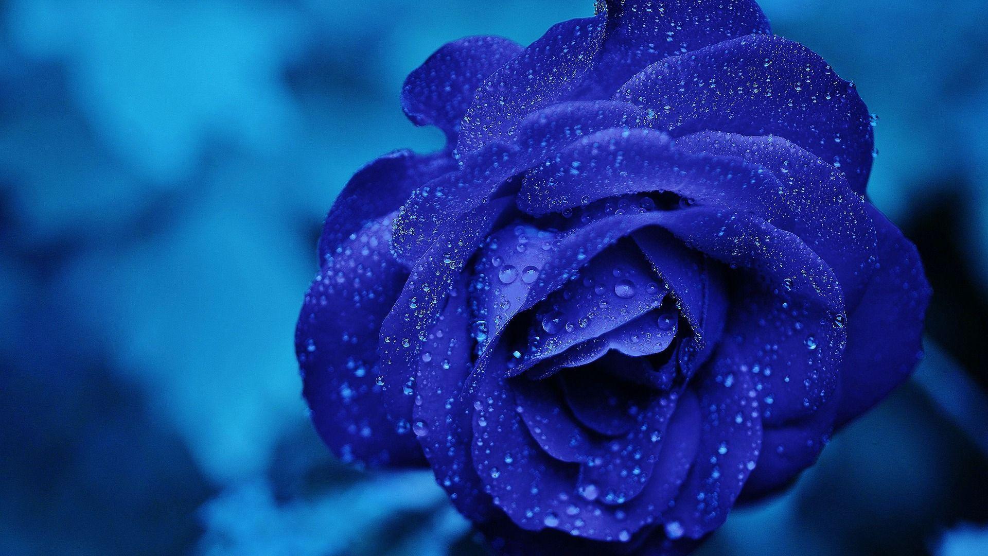 1920x1080 Blue HD Wallpaper