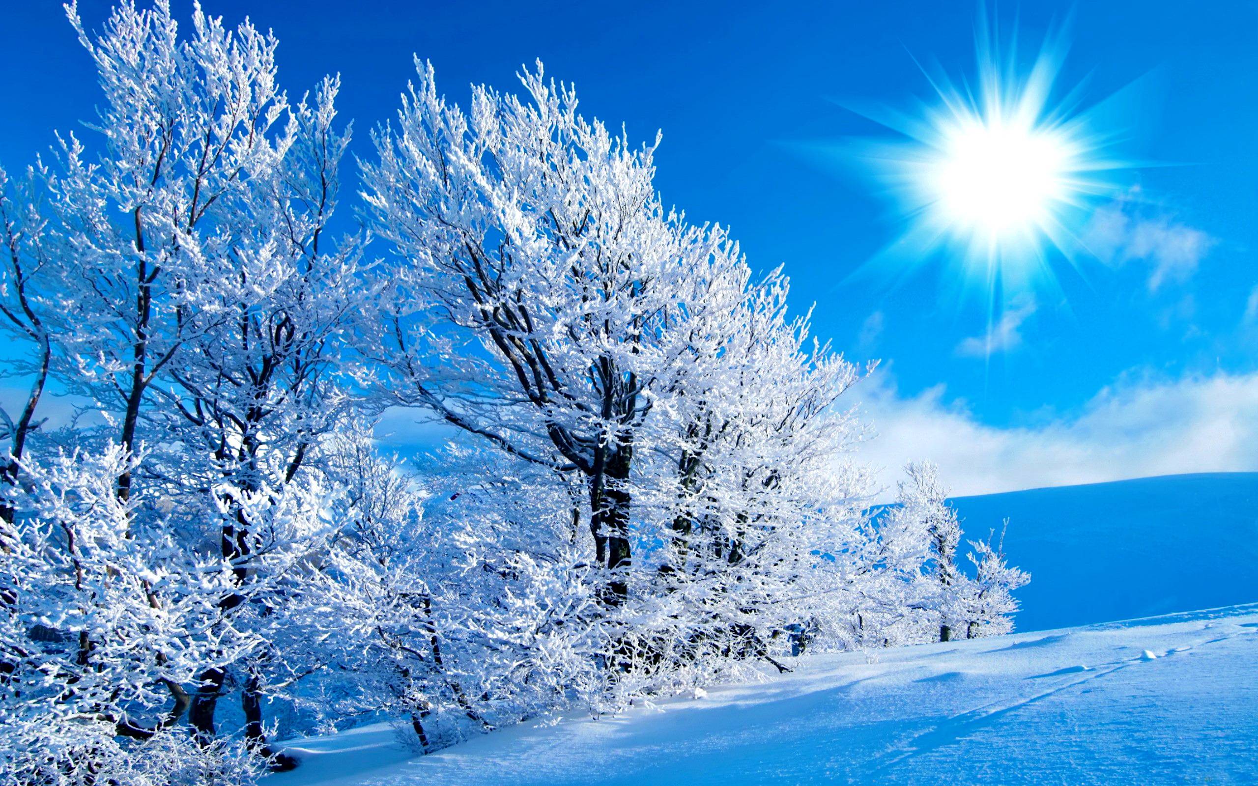 2560x1600 Winter Sun