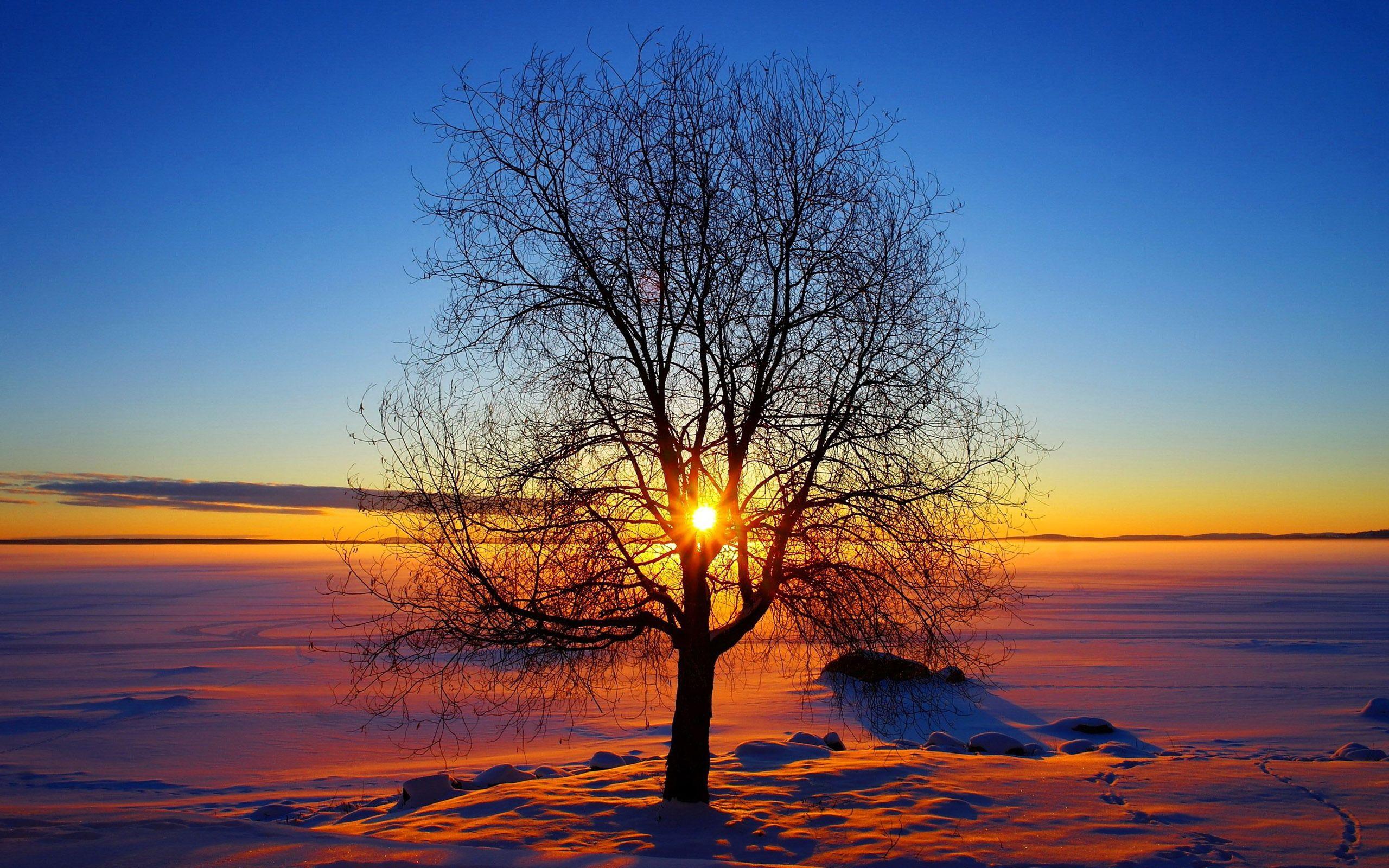2560x1600 Free download Pics Photo Winter Sun Wallpaper [2560x1600] for your Desktop, Mobile & Tablet. Explore Wintersun Wallpaper. Winter Wallpaper Background, Free Winter Wallpaper, Free Winter Wallpaper For Desktop