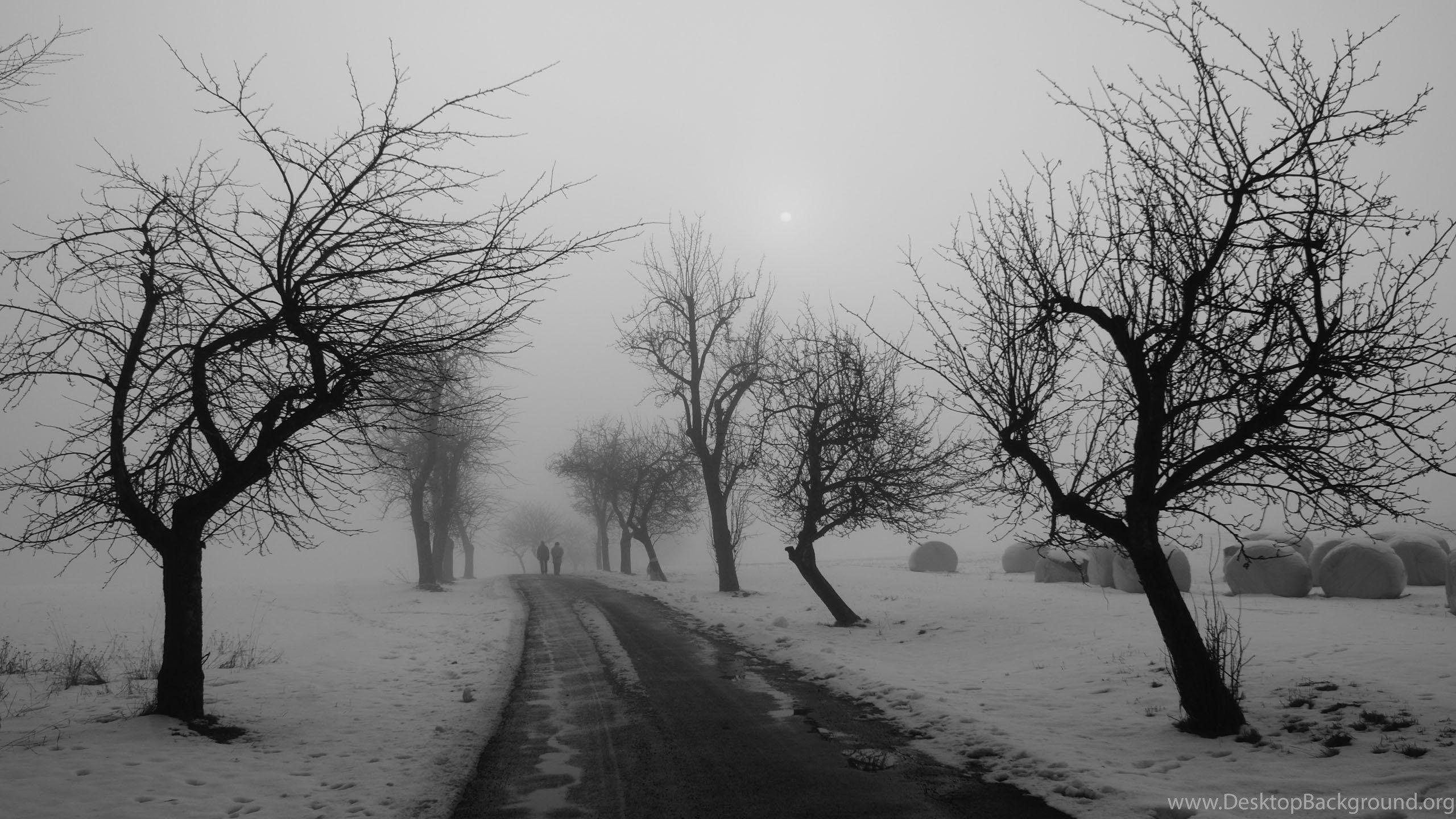 2560x1440 Winter Solstice Desktop Wallpaper Desktop Background
