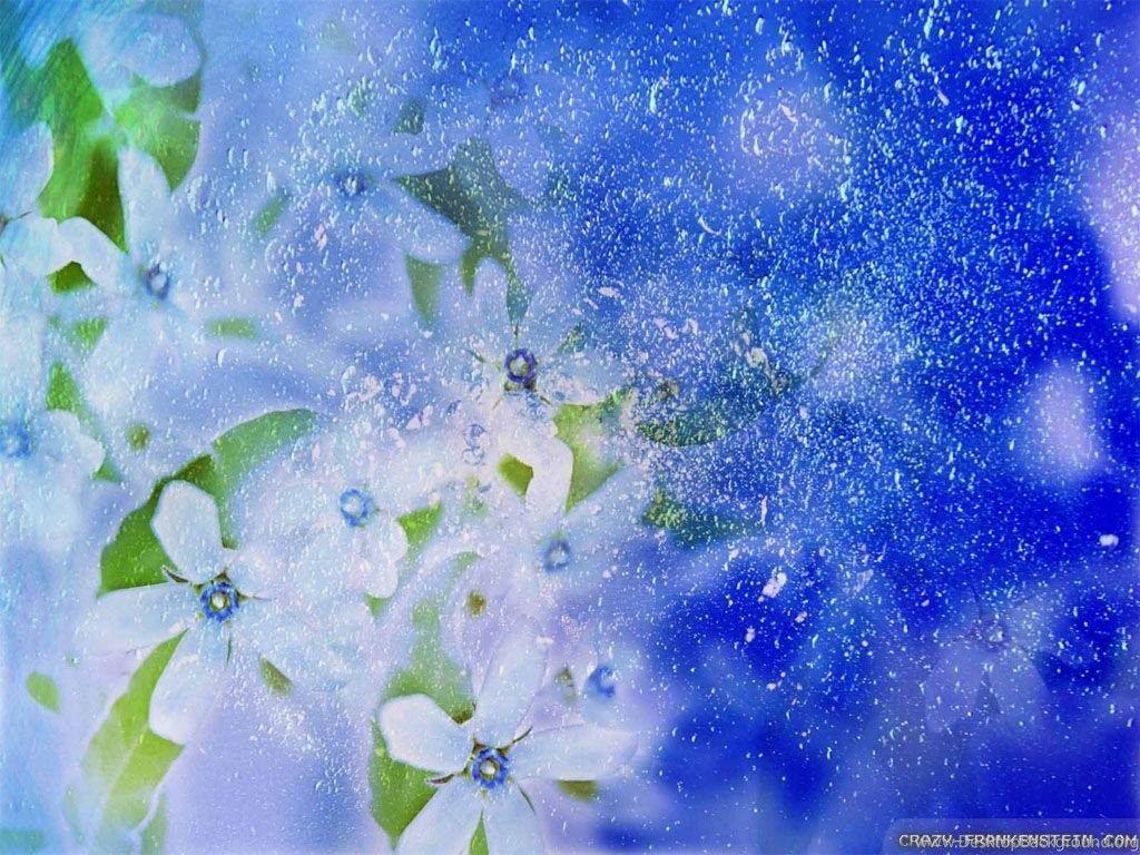 1024x768 Winter Flowers Wallpaper Crazy Frankenstein Desktop Background