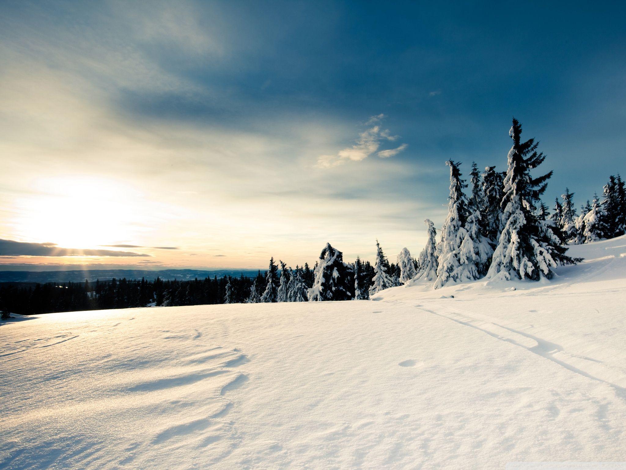 2048x1536 Winter Sun Ultra HD Desktop Background Wallpaper for : Multi Display, Dual Monitor : Tablet