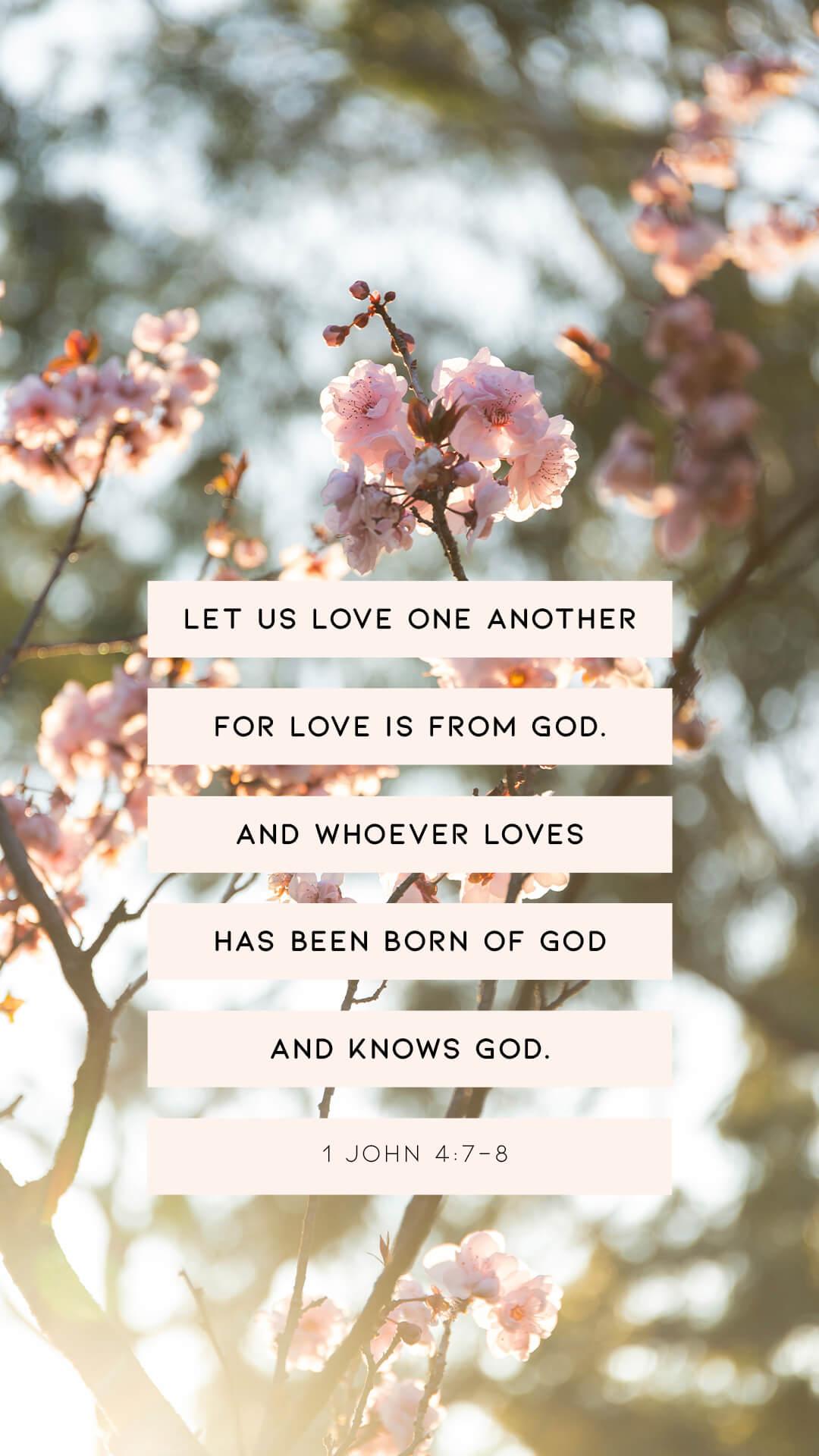 Spring Bible Wallpapers Top Free Spring Bible Backgrounds Spring Bible Wallpapers Top Free Spring Bible Backgrounds