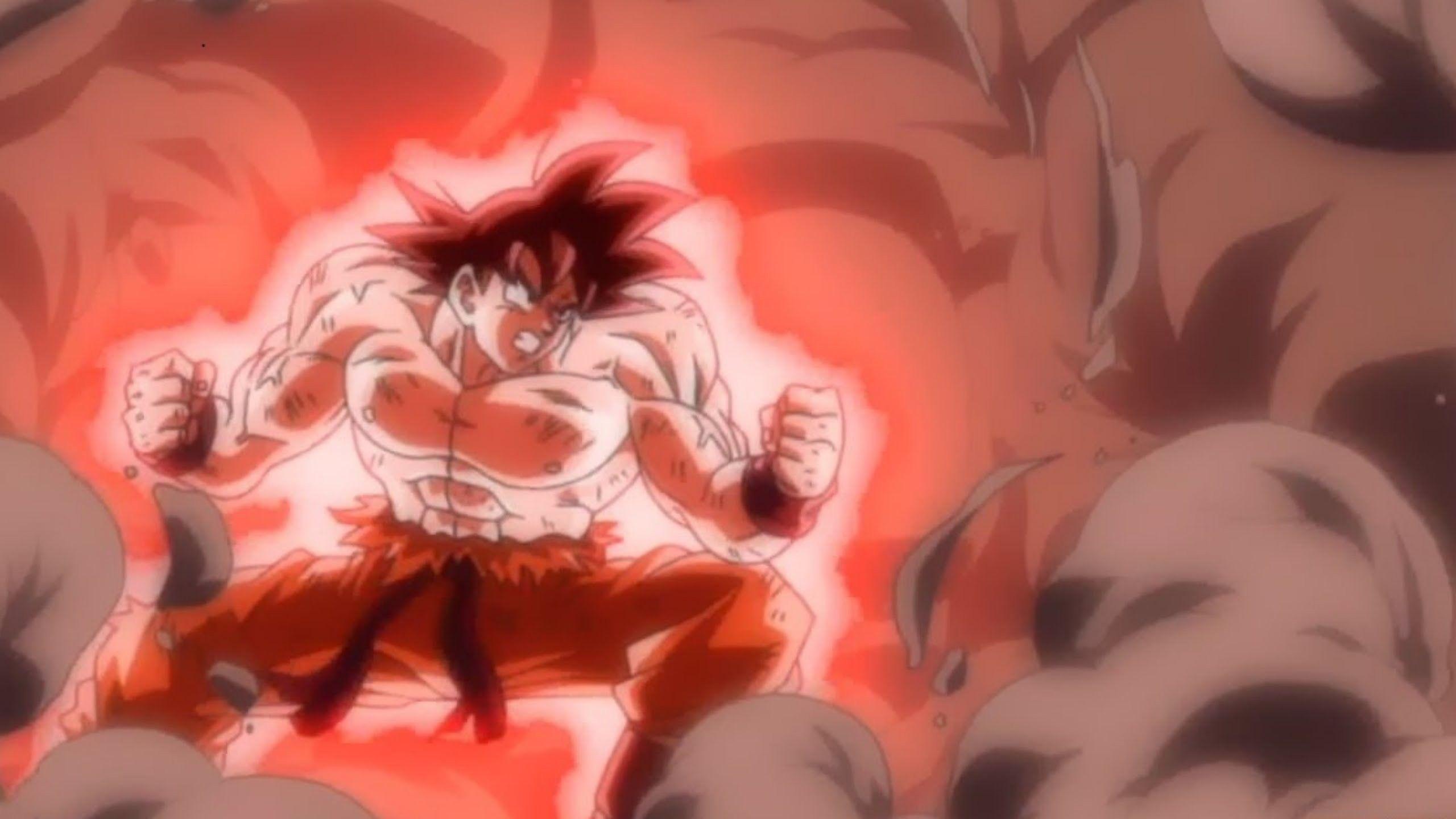 2560x1440 Goku Ssgss Wallpaper