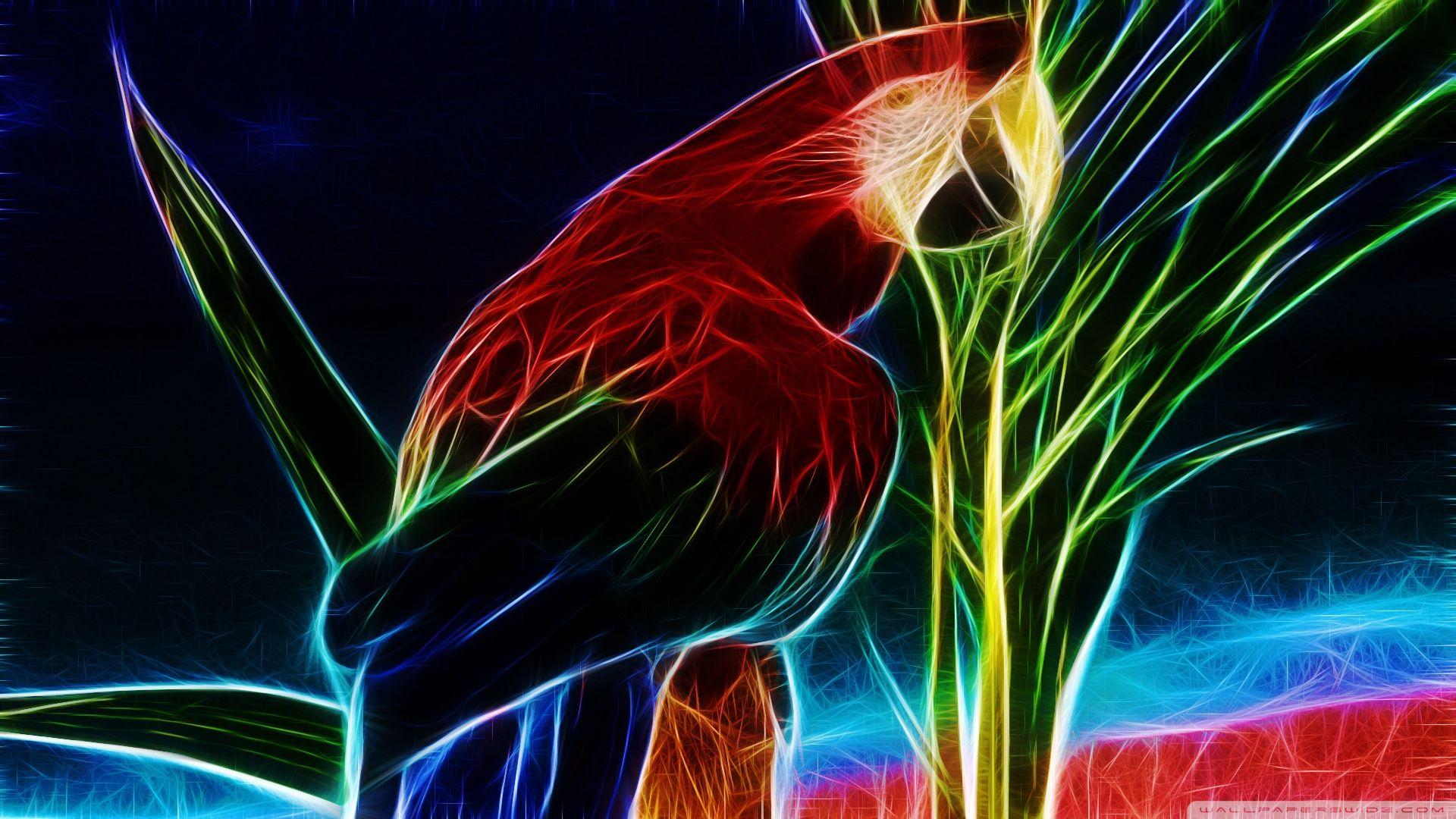 1920x1080 Parrot Ultra HD Desktop Background Wallpaper for 4K UHD TV : Widescreen & UltraWide Desktop & Laptop : Tablet