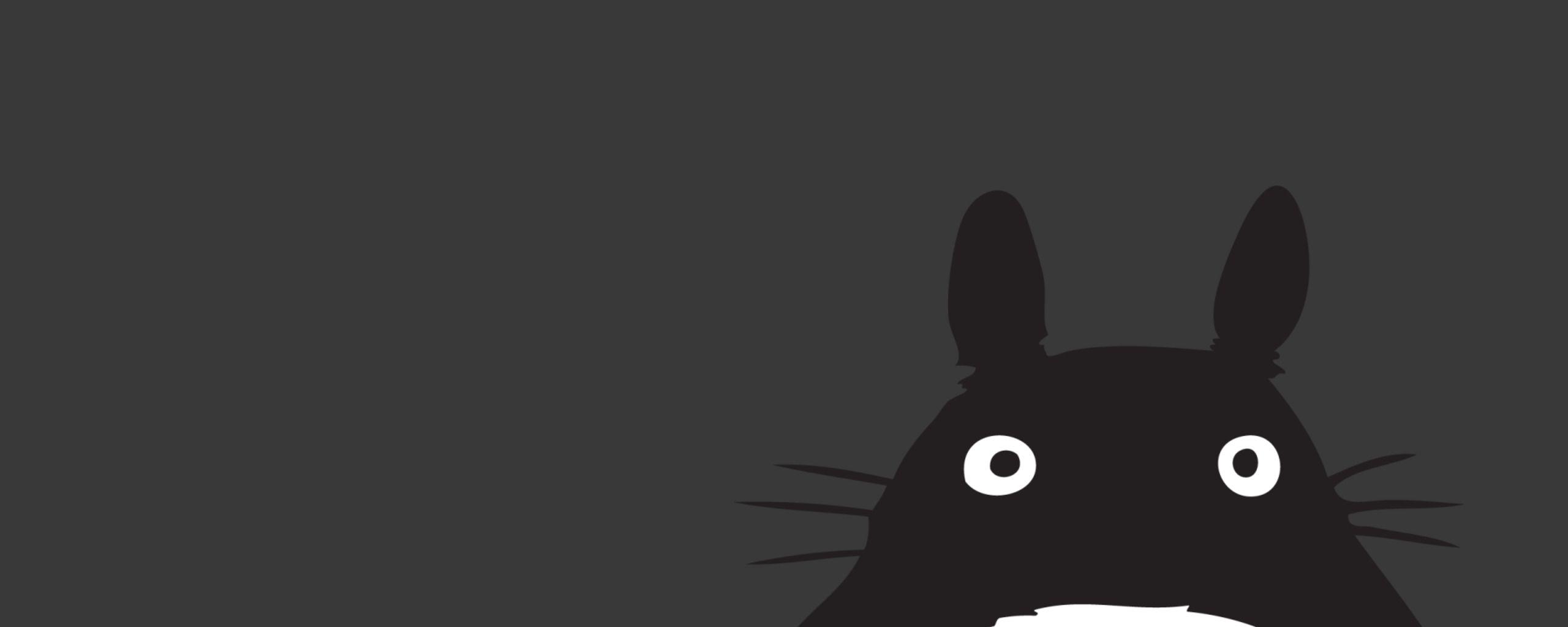 Black Totoro Wallpapers - Top Free Black Totoro Backgrounds ...