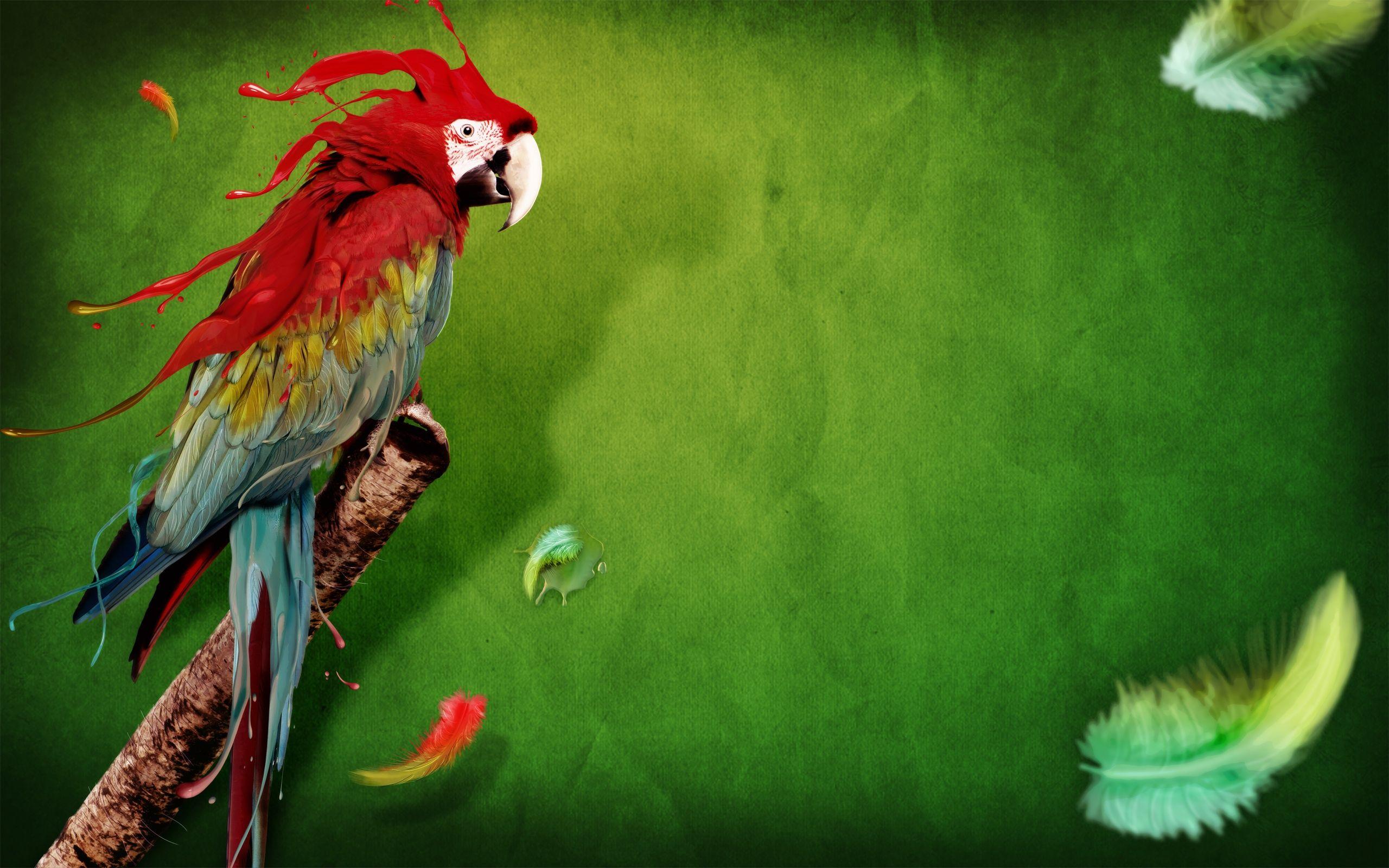 2560x1600 Splash of Parrot Wallpaper in jpg format for free download