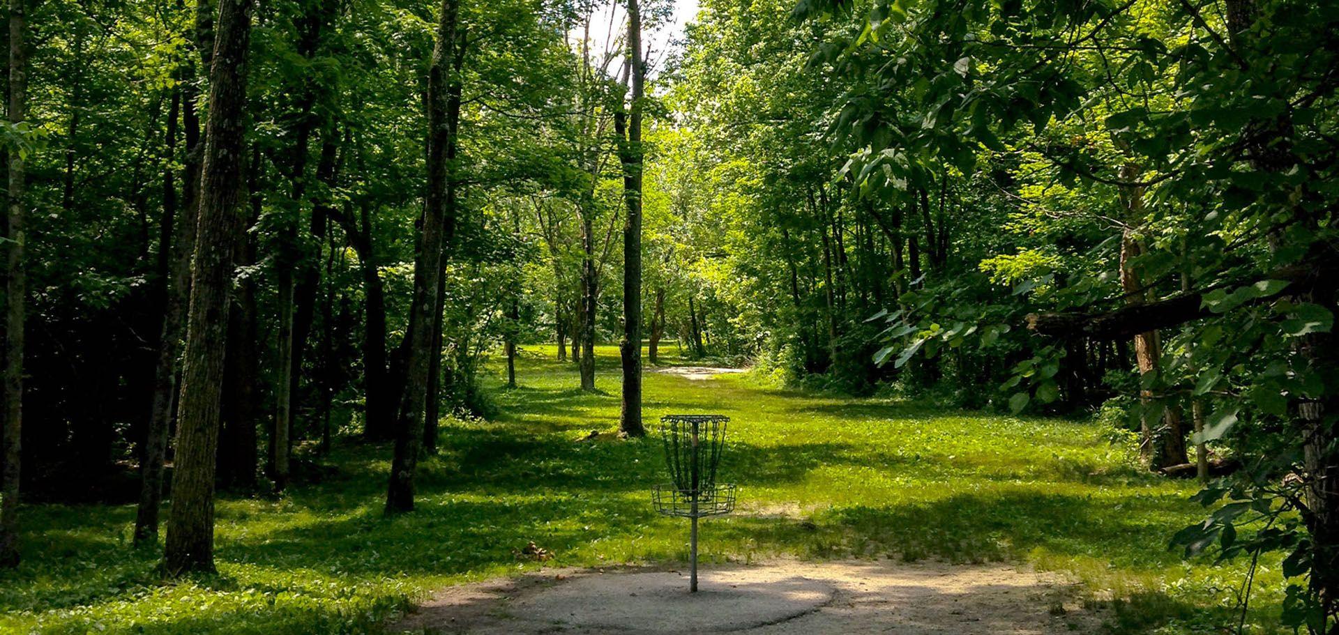 1920x911 In The Forrest Golf Woods Wallpaper & Background Download