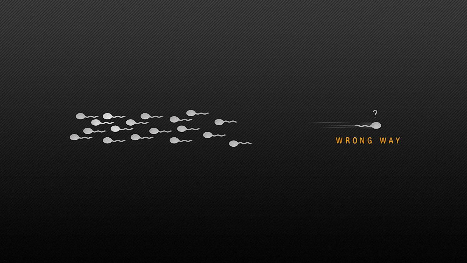 1600x900 Funny Quotes Wallpaper For Laptop