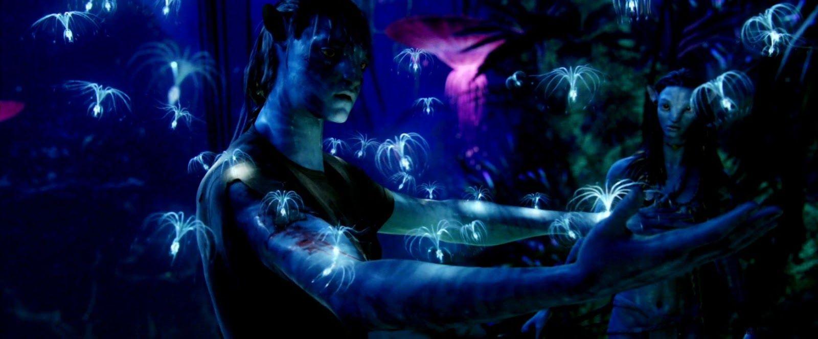 1600x664 Avatar Movie Wallpaper Background