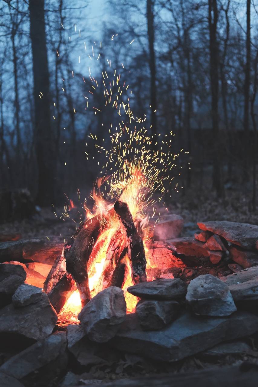 853x1280 Campfire Woods wallpaper