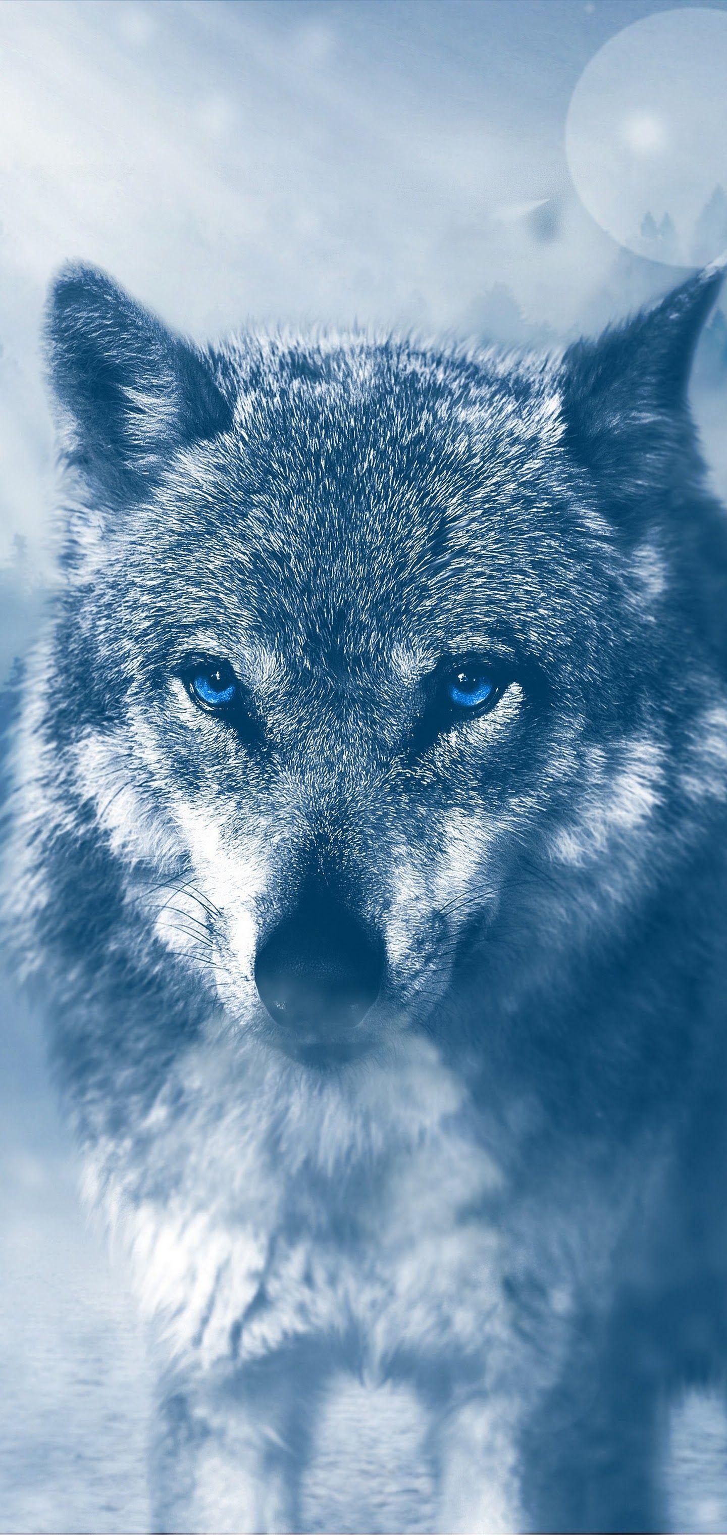 4K Ultra HD iPhone Wolf Wallpapers - Top Free 4K Ultra HD iPhone Wolf