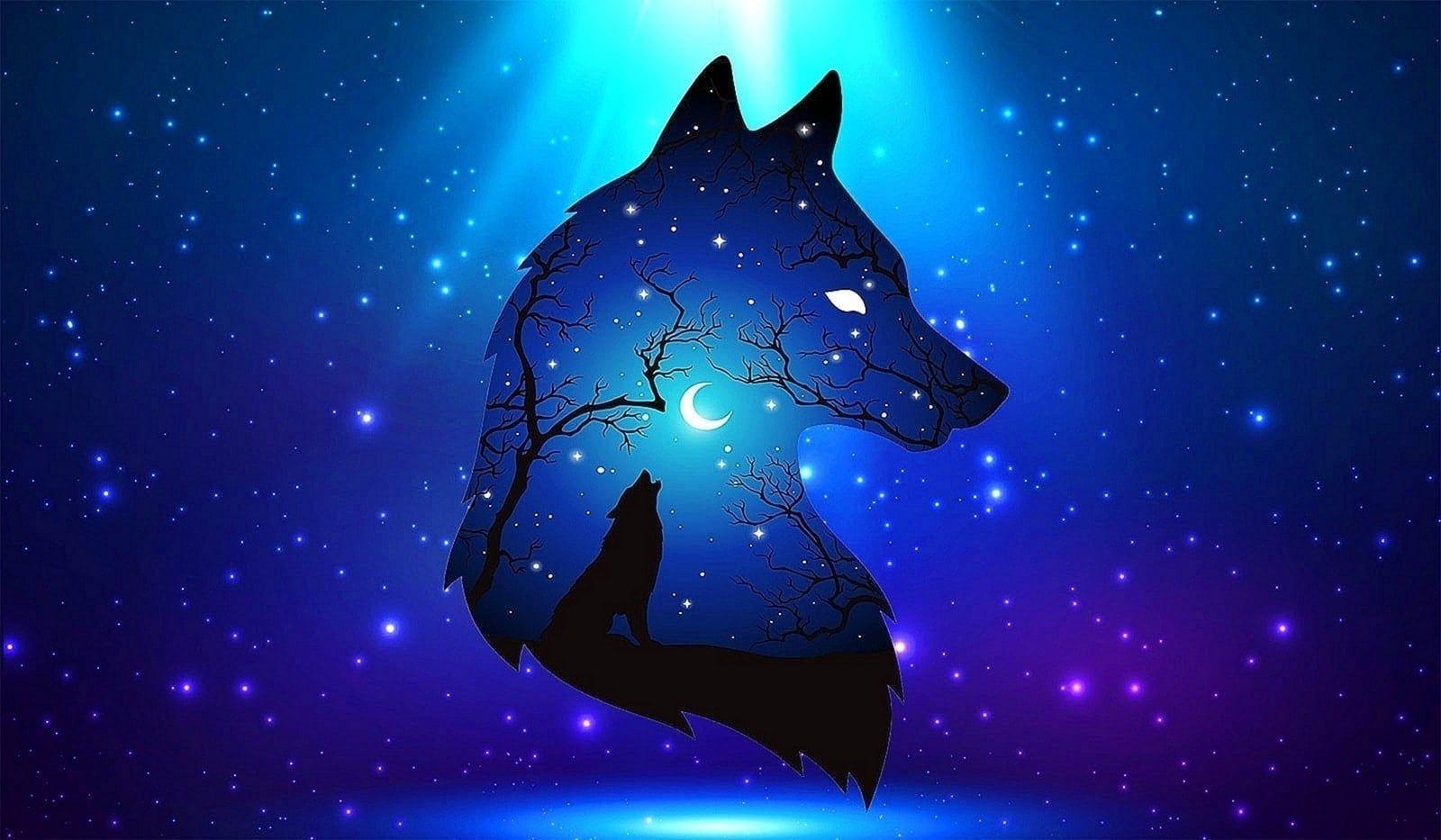 1600x933 Cool Blue Wolf Wallpaper Wallpaper.pro