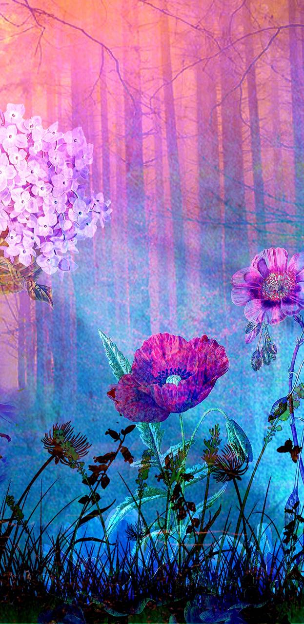 Pink Forest Flower Wallpapers Top Free Pink Forest Flower Backgrounds