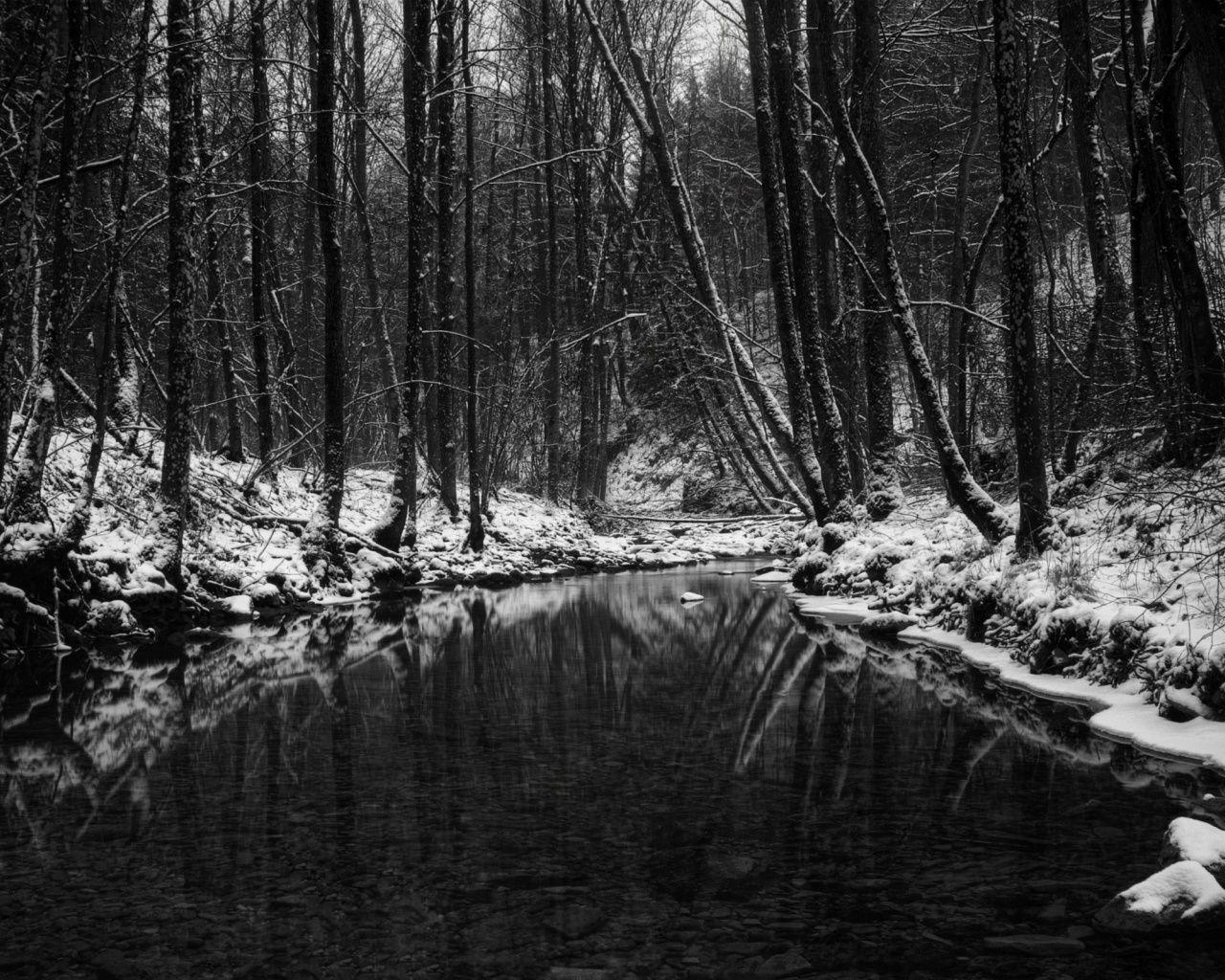 1280x1024 Winter in black and white desktop PC and Mac wallpaper