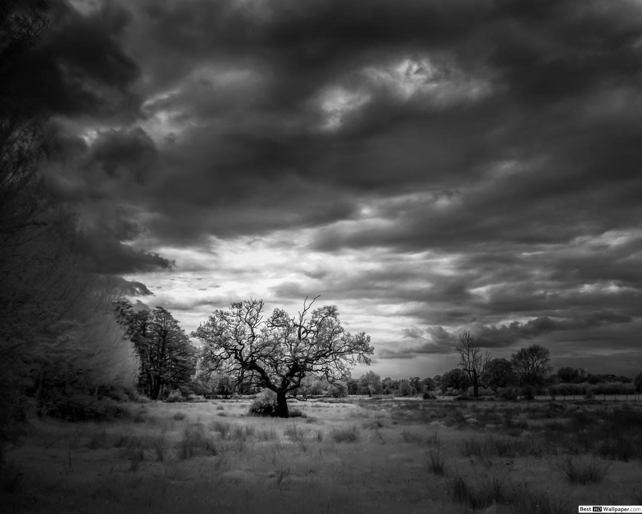 1280x1024 Black and white landscape HD wallpaper download