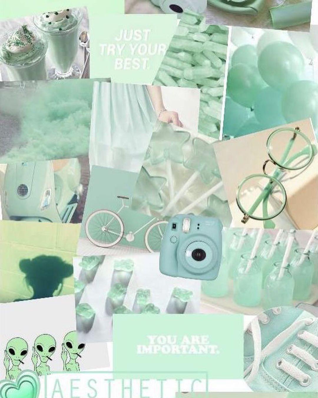 1080x1350 Green VSCO Wallpaper