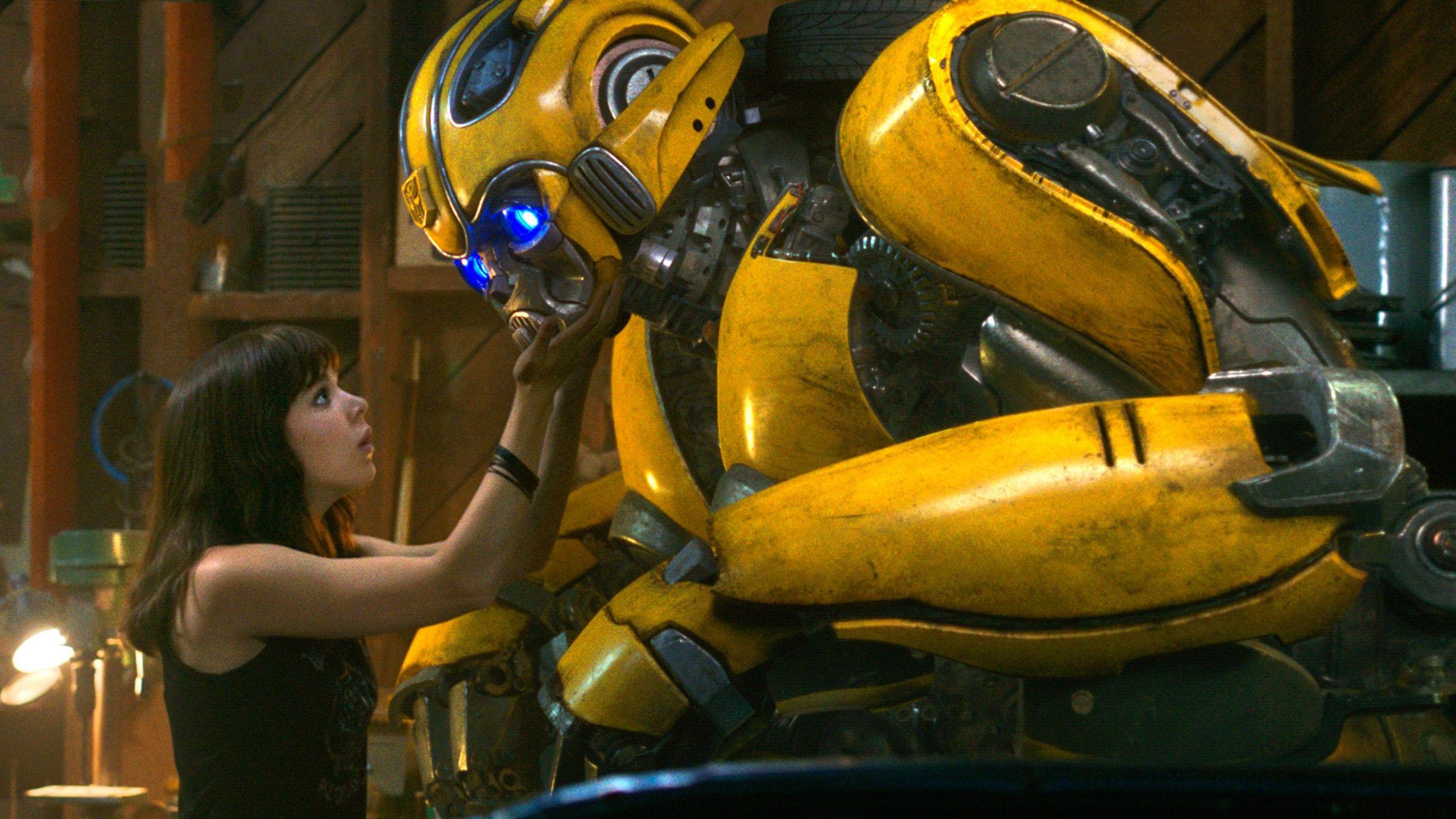 2560x1440 Bumblebee Wallpaper HD
