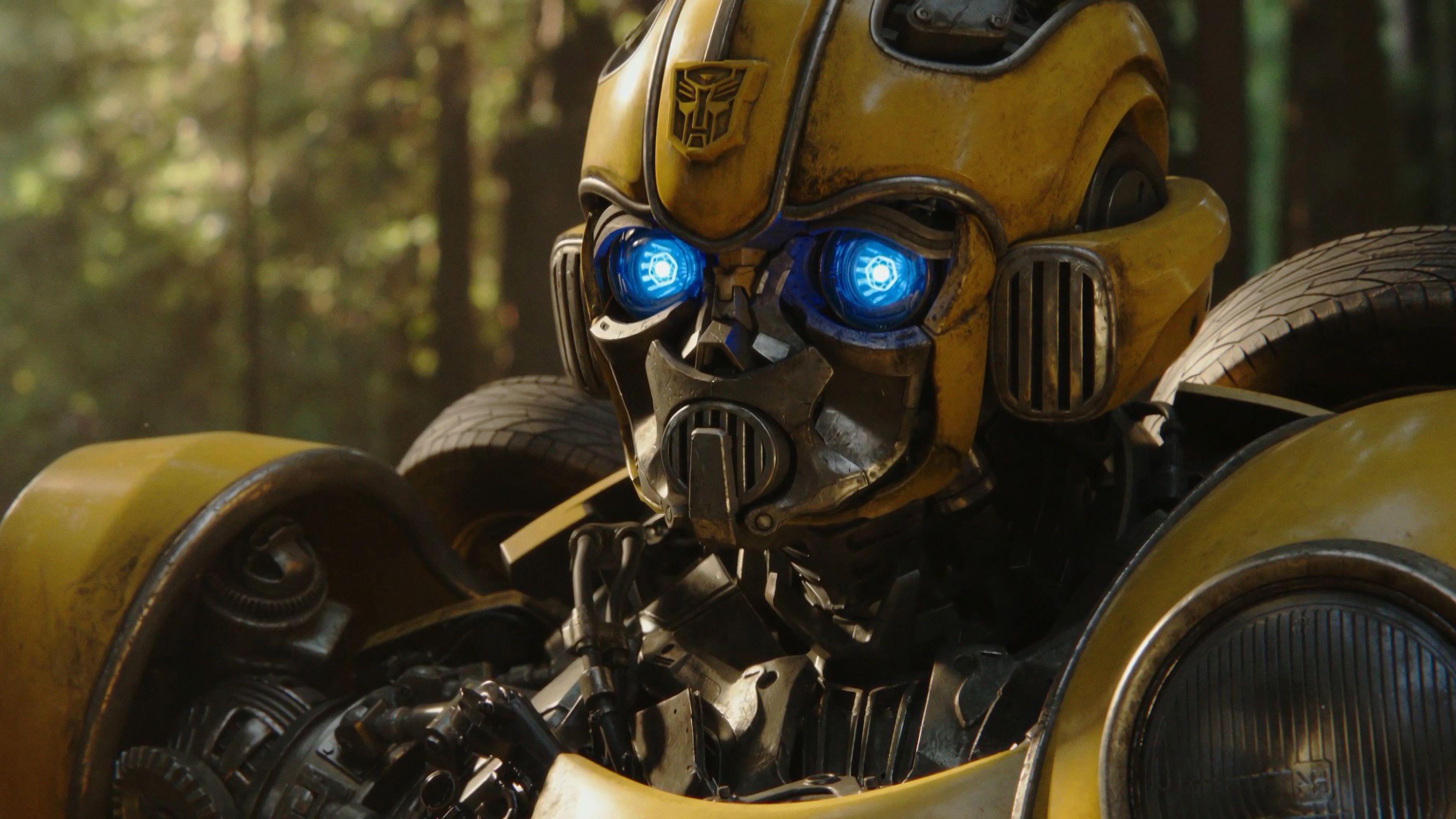 3840x2160 2389x1918 Bumblebee wallpaper for desktop
