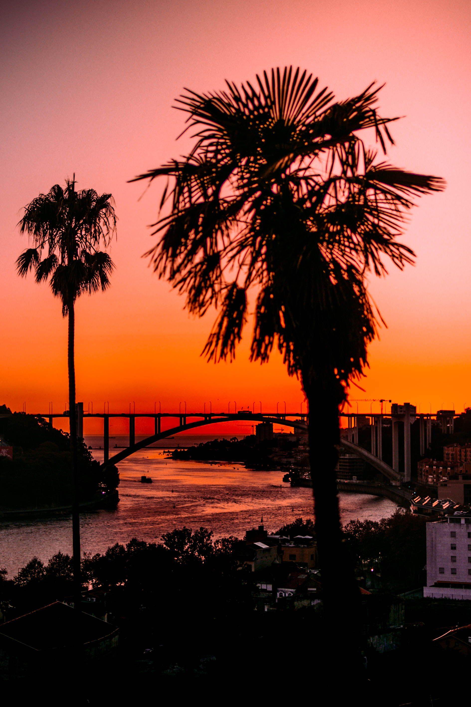 1889x2833 sunset aesthetic -sunset wallpaper -photography sunset sunset sunset. Sunset photography nature, Sunset photography, Sunrise picture