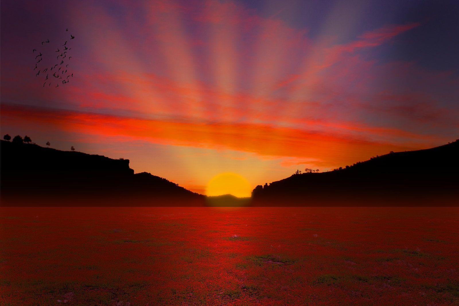 1600x1067 Summer Sunset Background