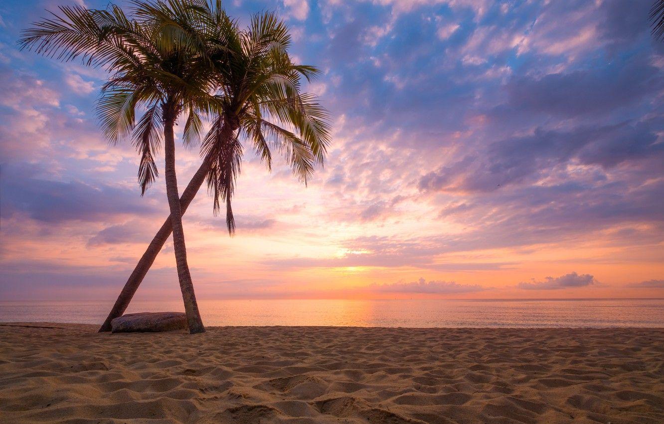 1332x850 Wallpaper sand, sea, wave, beach, summer, sunset, palm trees, shore, summer, beach, sea, sunset, seascape, beautiful, sand, paradise image for desktop, section пейзажи