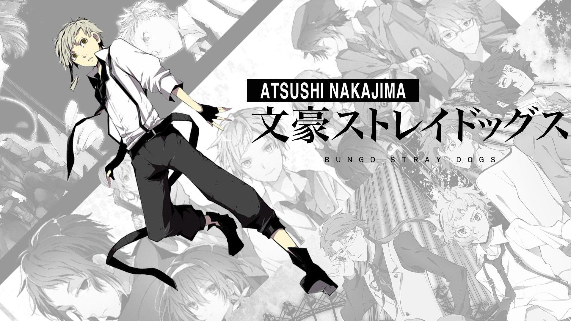 1920x1080 Dog Wallpaper, Dogs, Wallpaper, Manga, Sleeve, Wall Stray Dogs Wallpaper Atsushi HD Wallpaper