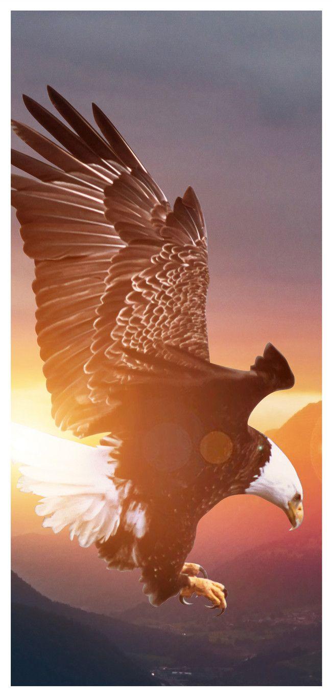 650x1361 Eagle Mobile Wallpaper Background Image Free Download 400484226
