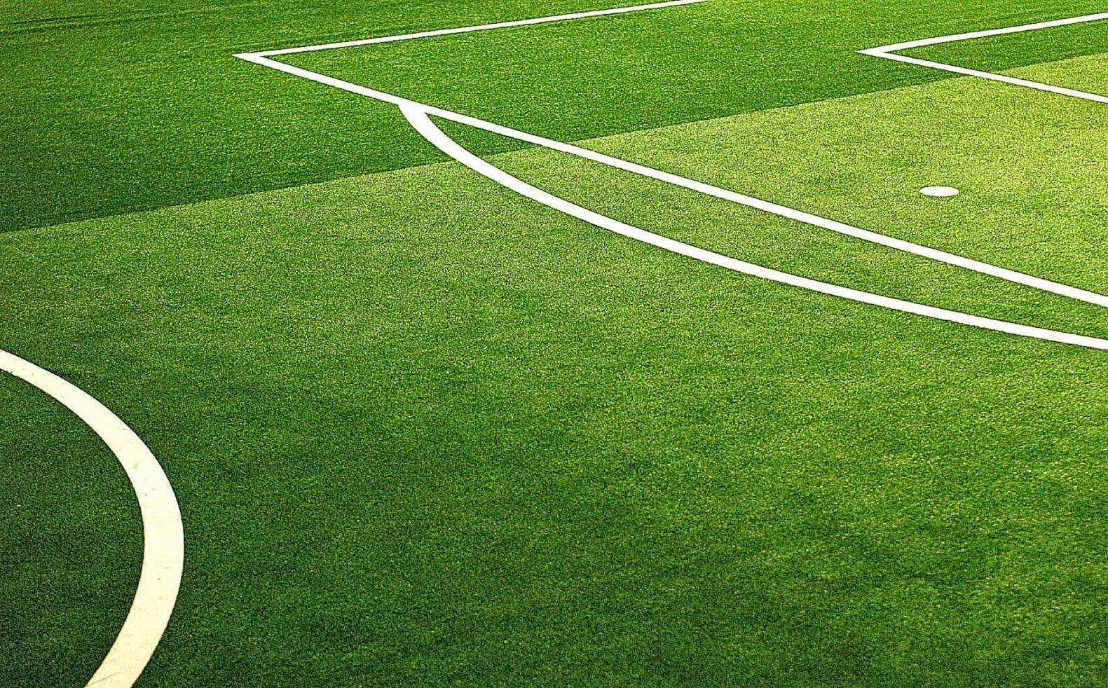 Hd Vertical Soccer Field Grass Top View Png Website Color Palette | The ...