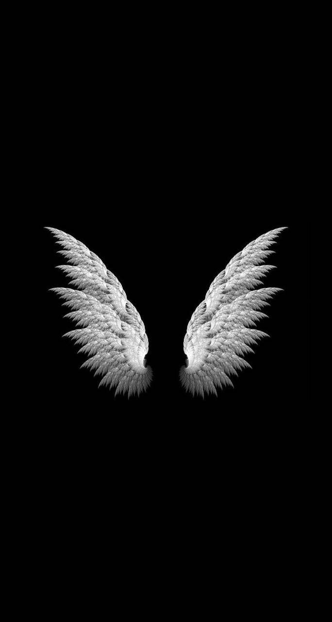 Devil Wings Wallpapers - Top Free Devil Wings Backgrounds - WallpaperAccess