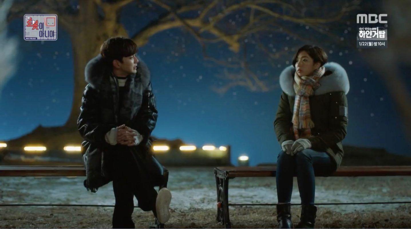 1436x800 Mt. Seongheungsan Love Tree [성흥산 사랑나무]