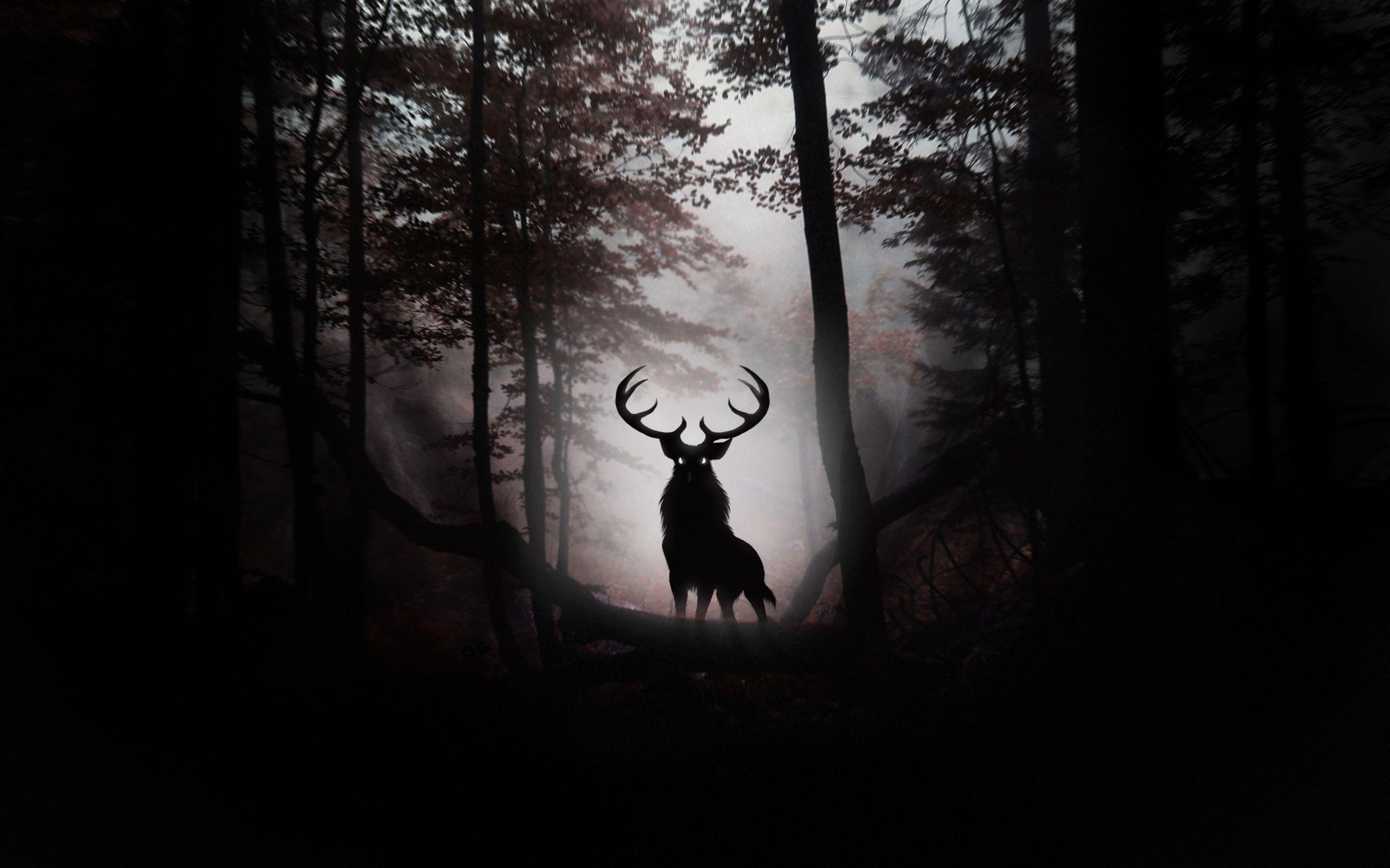 Dark Photography Wallpapers - Top Free Dark Photography Backgrounds ...