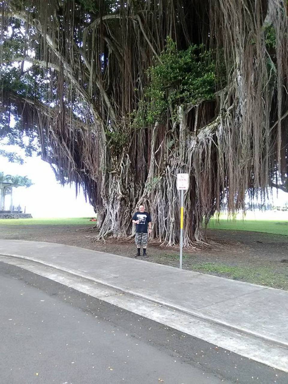 Banyan Tree Wallpapers Top Free Banyan Tree Backgrounds WallpaperAccess