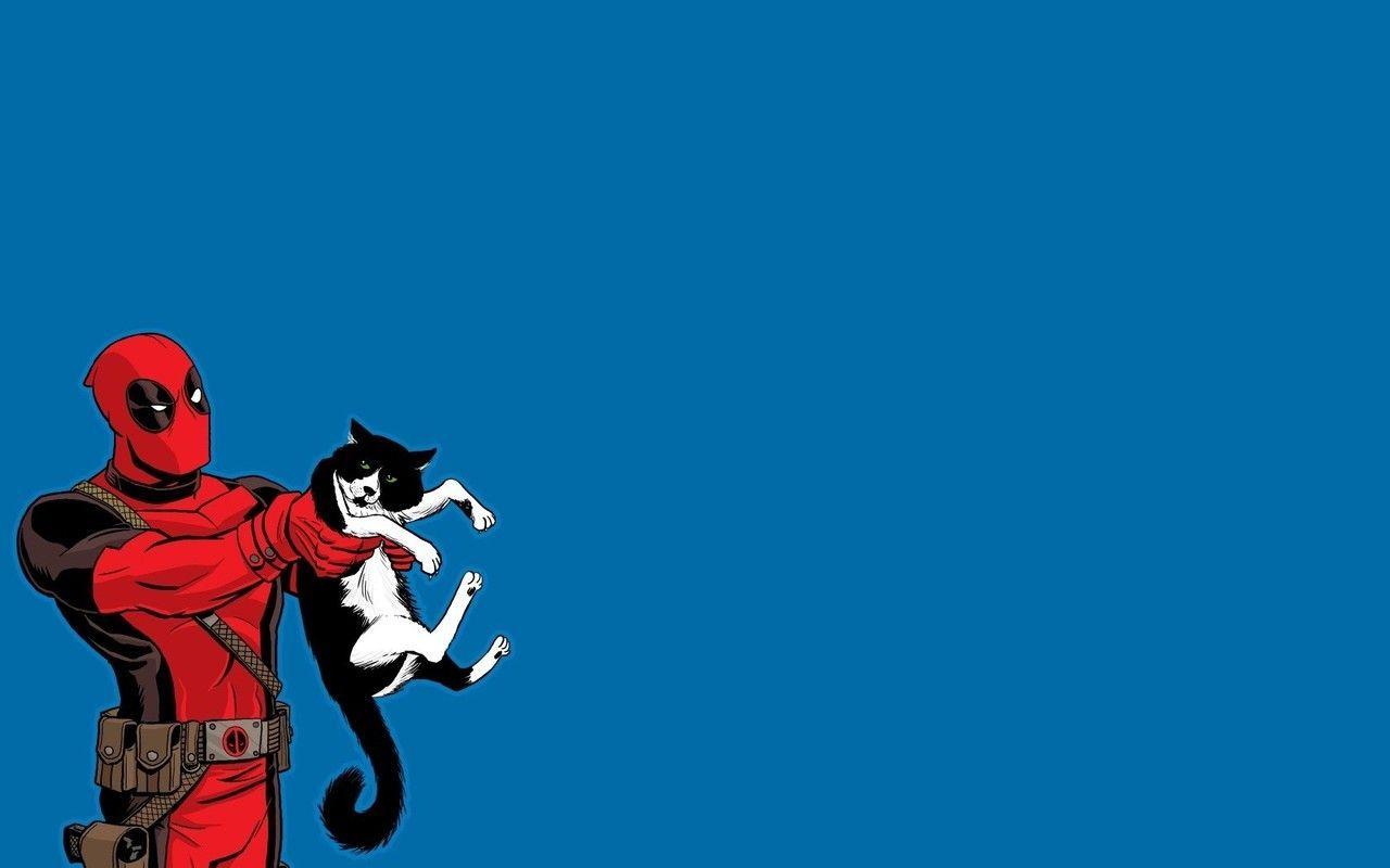 1280x800 Funny Wallpaper Tumblr