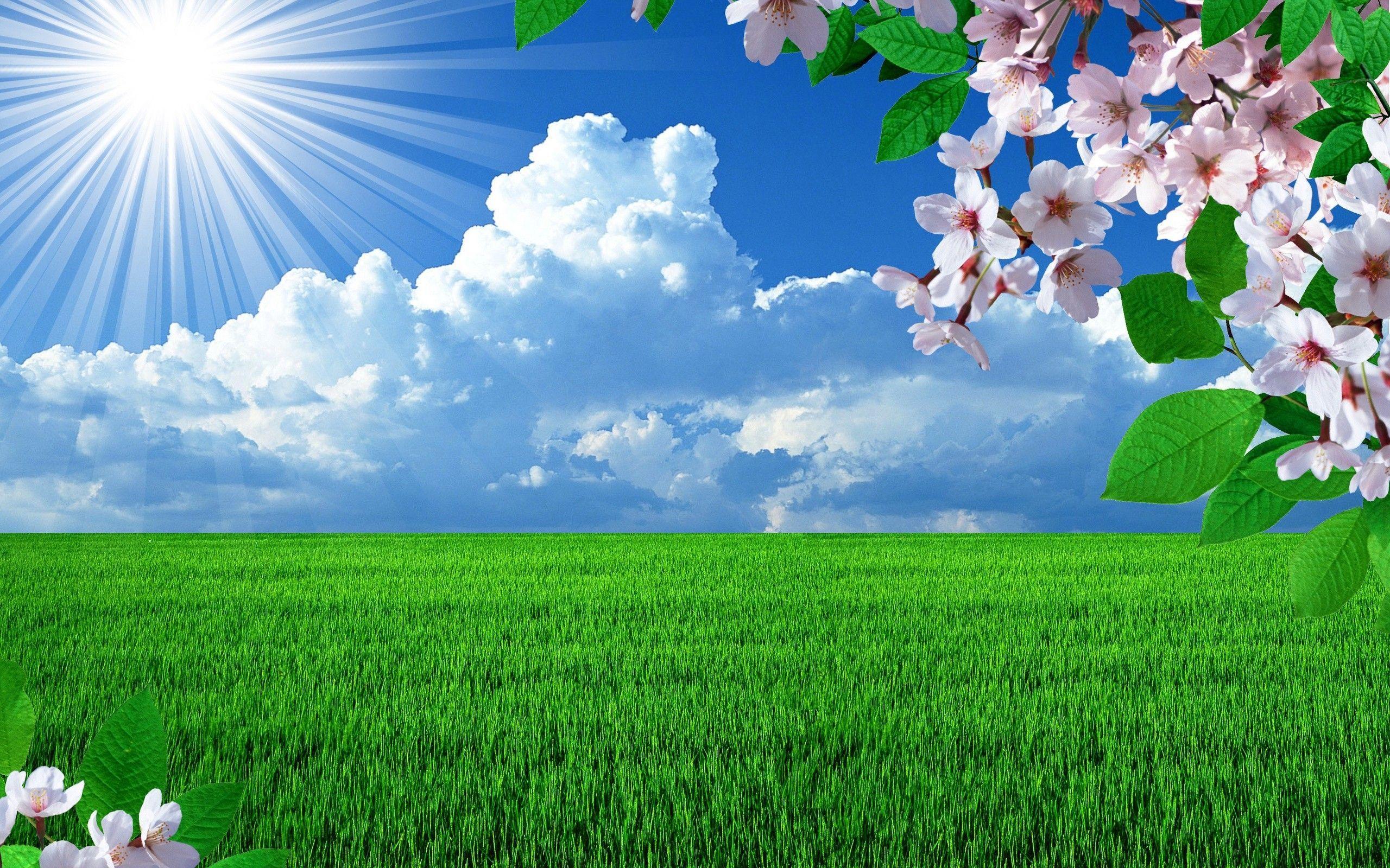 Beautiful Nature Spring Wallpapers - Top Free Beautiful Nature Spring  Backgrounds - WallpaperAccess