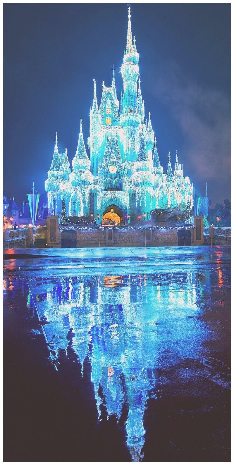 800x1590 Disney World iPhone Wallpaper HD World, Cinderella Castle Wallpaper & Background Download