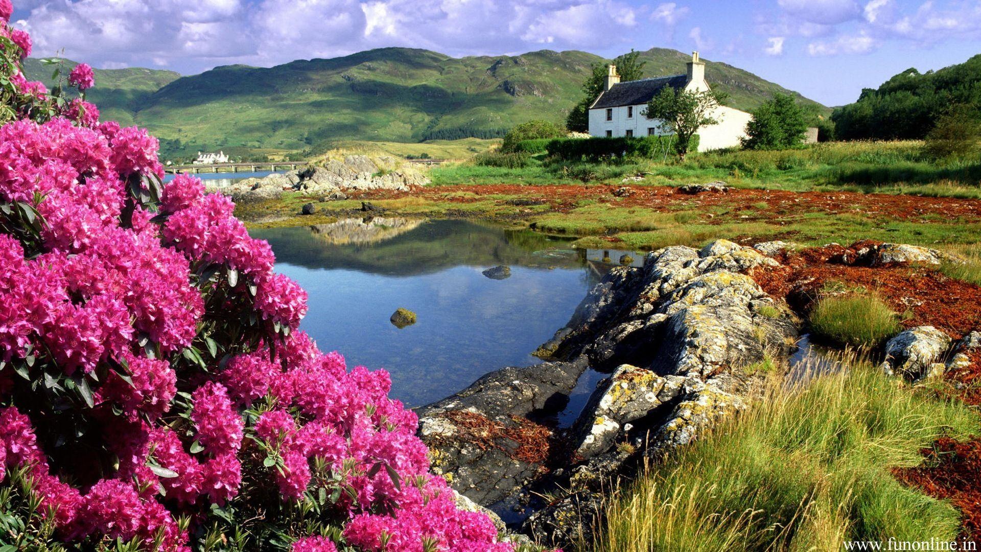 1920x1080 Beautiful spring wallpaper, Picture, Image