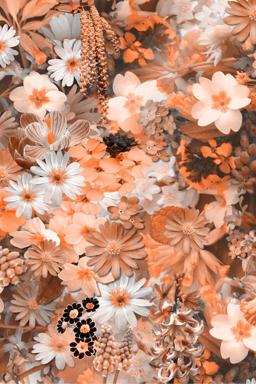 Cute Aesthetic Flower Wallpapers - Top