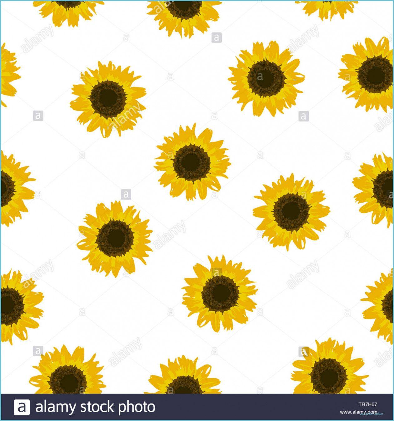 Small Sunflower Wallpapers - Top Free Small Sunflower Backgrounds ...