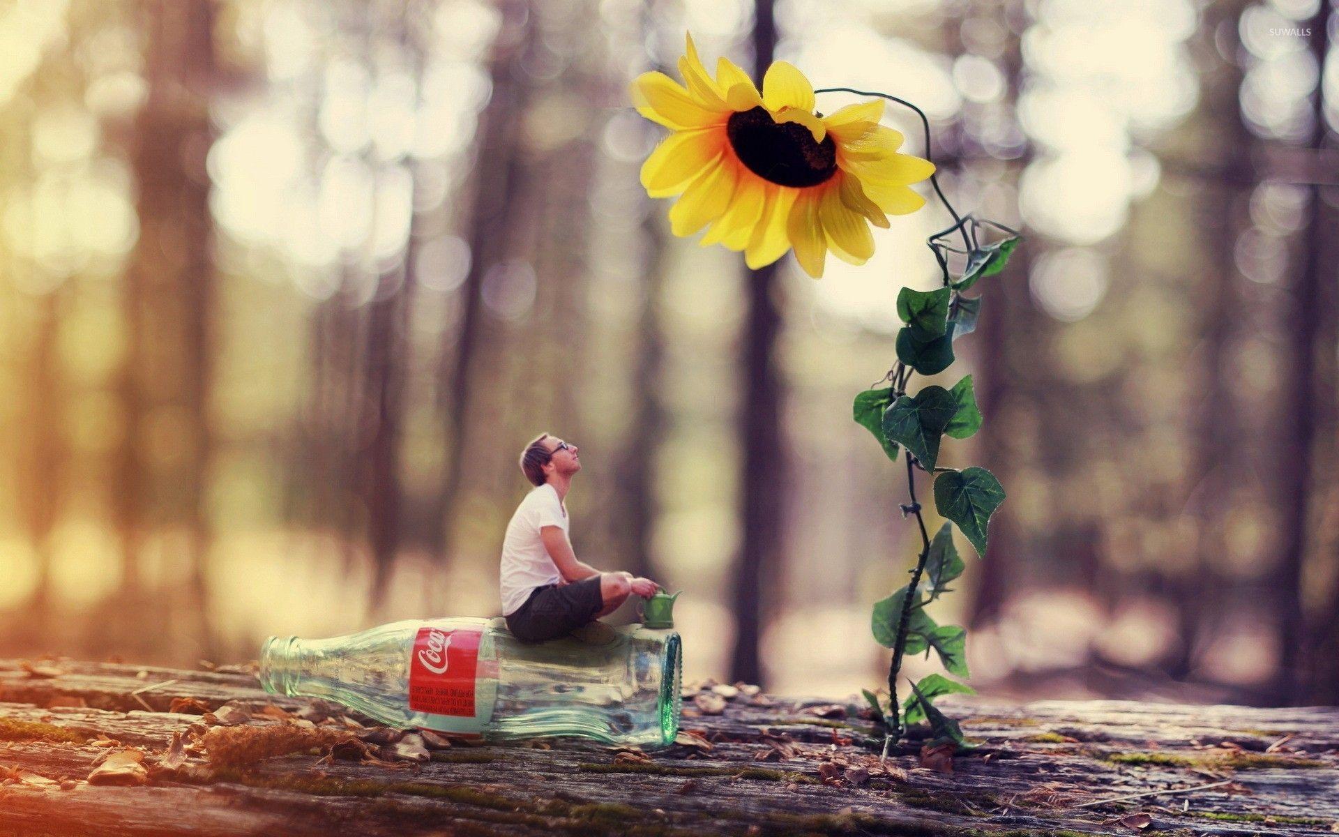 Small Sunflower Wallpapers - Top Free Small Sunflower Backgrounds
