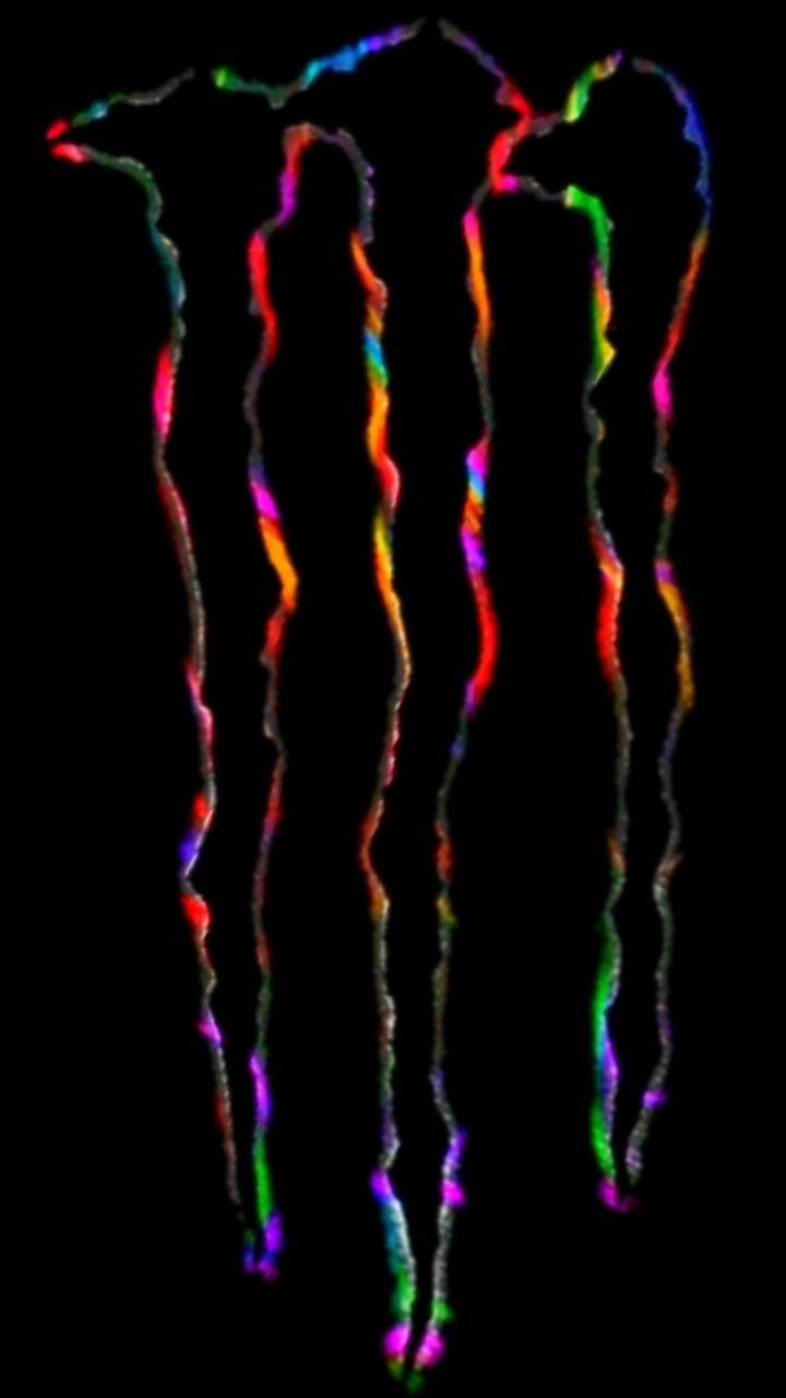 720x1280 Monster energy wallpaper