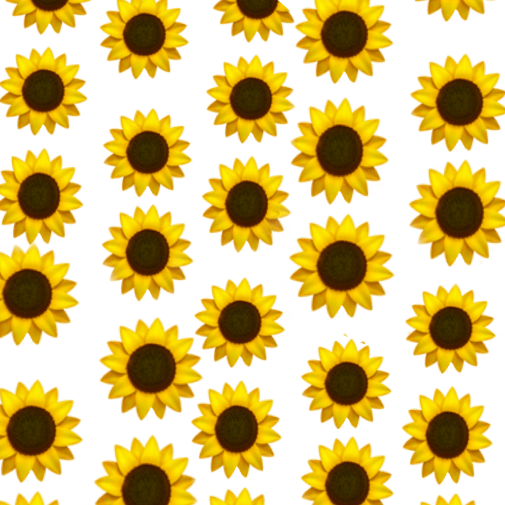 Small Sunflower Wallpapers - Top Free Small Sunflower Backgrounds