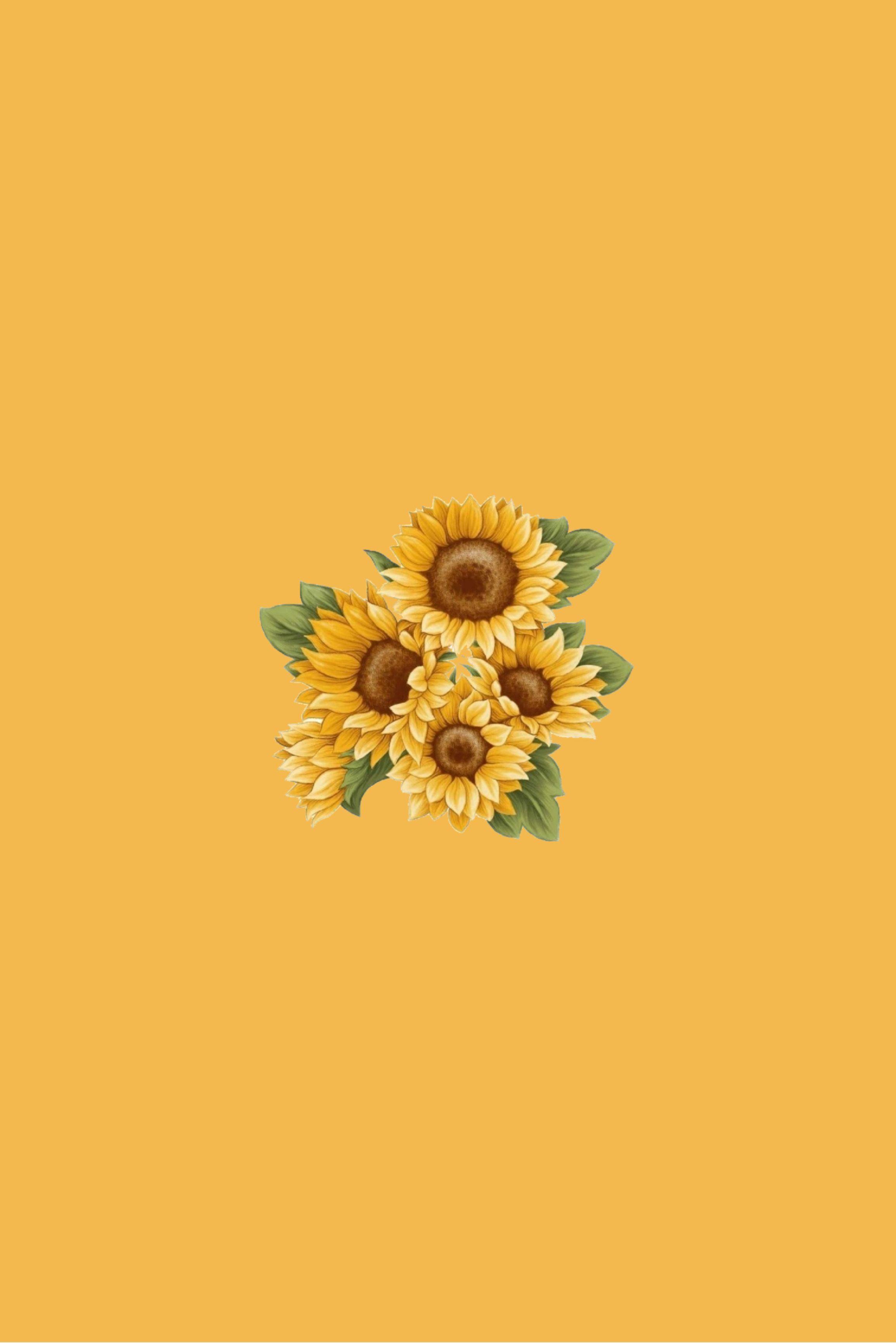 2310x3463 wallpaper #wallpaperiphone #wallpaperbackground #wallpaperideas #yellow #yellowwallpaper. Sunflower wallpaper, Cute pastel wallpaper, Black aesthetic wallpaper
