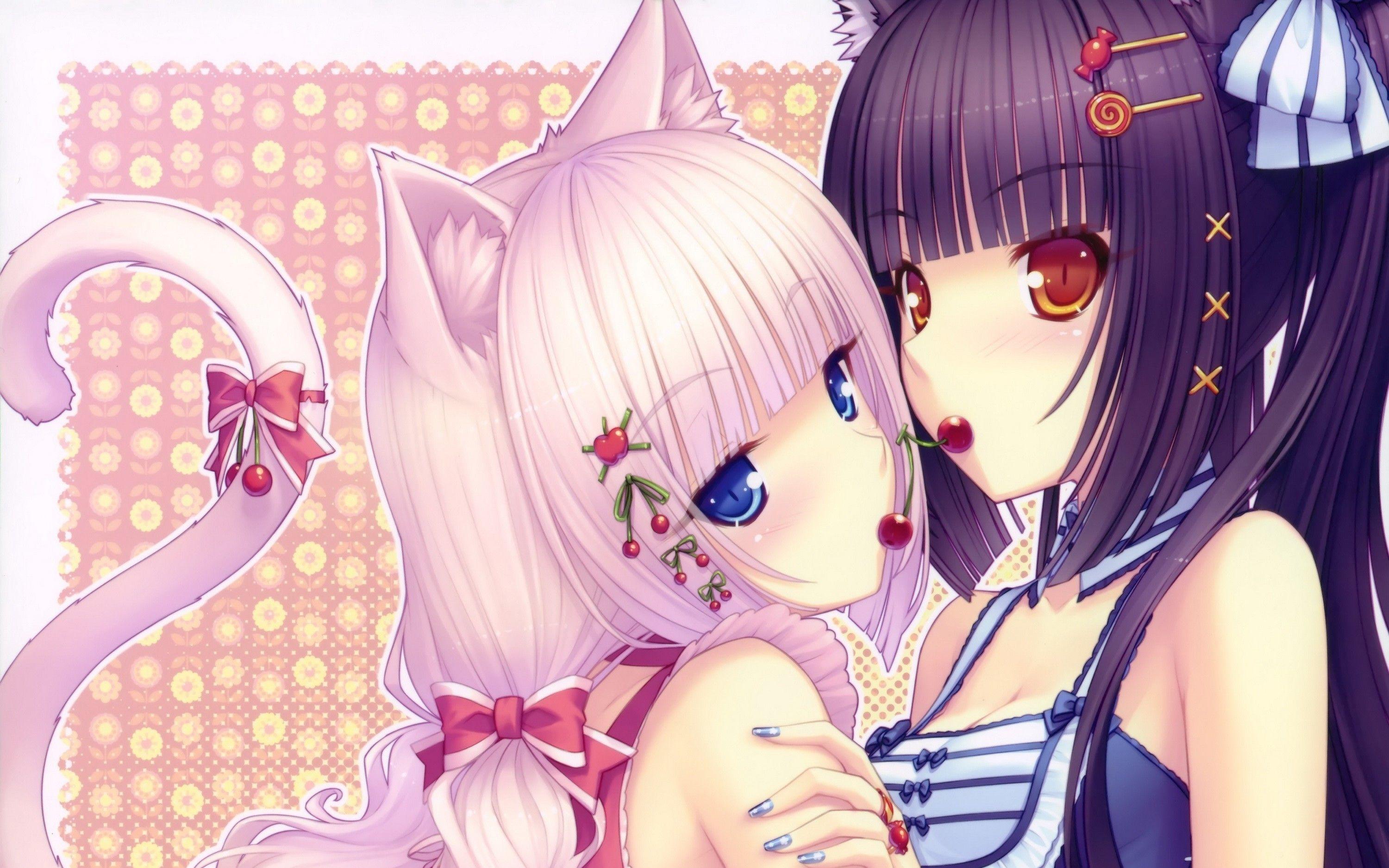 3000x1875 Anime Cat Girl Two