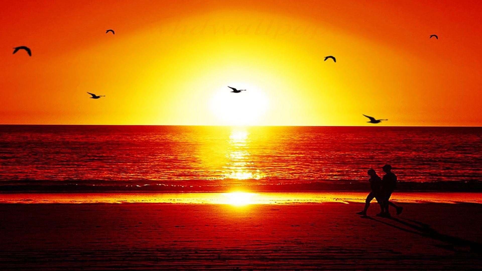 1920x1080 Sunset HD Wallpaper. to5animations.com Wallpaper, Gifs, Background, Image