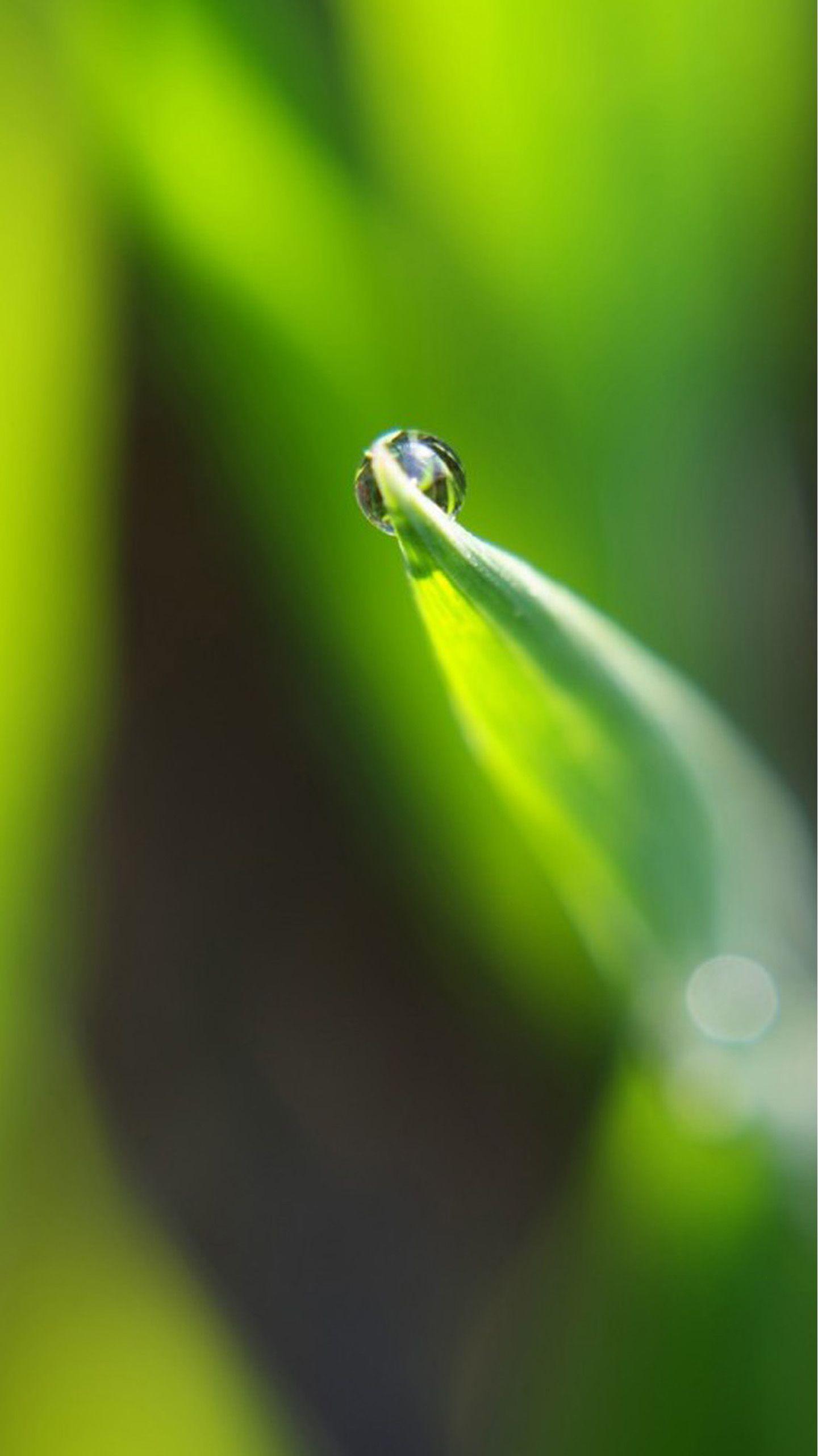 1440x2560 Green. Galaxy S7 Wallpaper