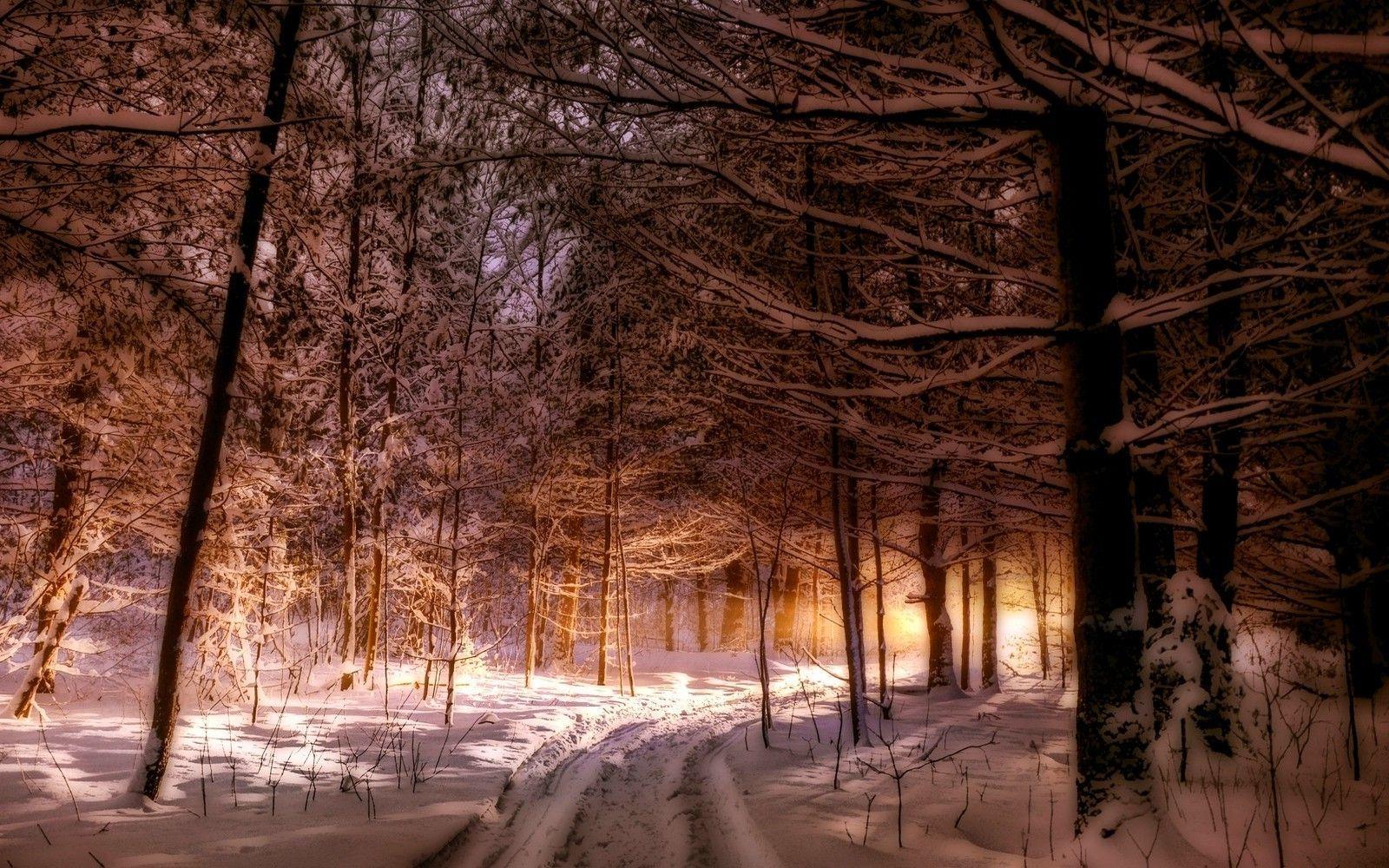 1600x1000 Maine Winter Background