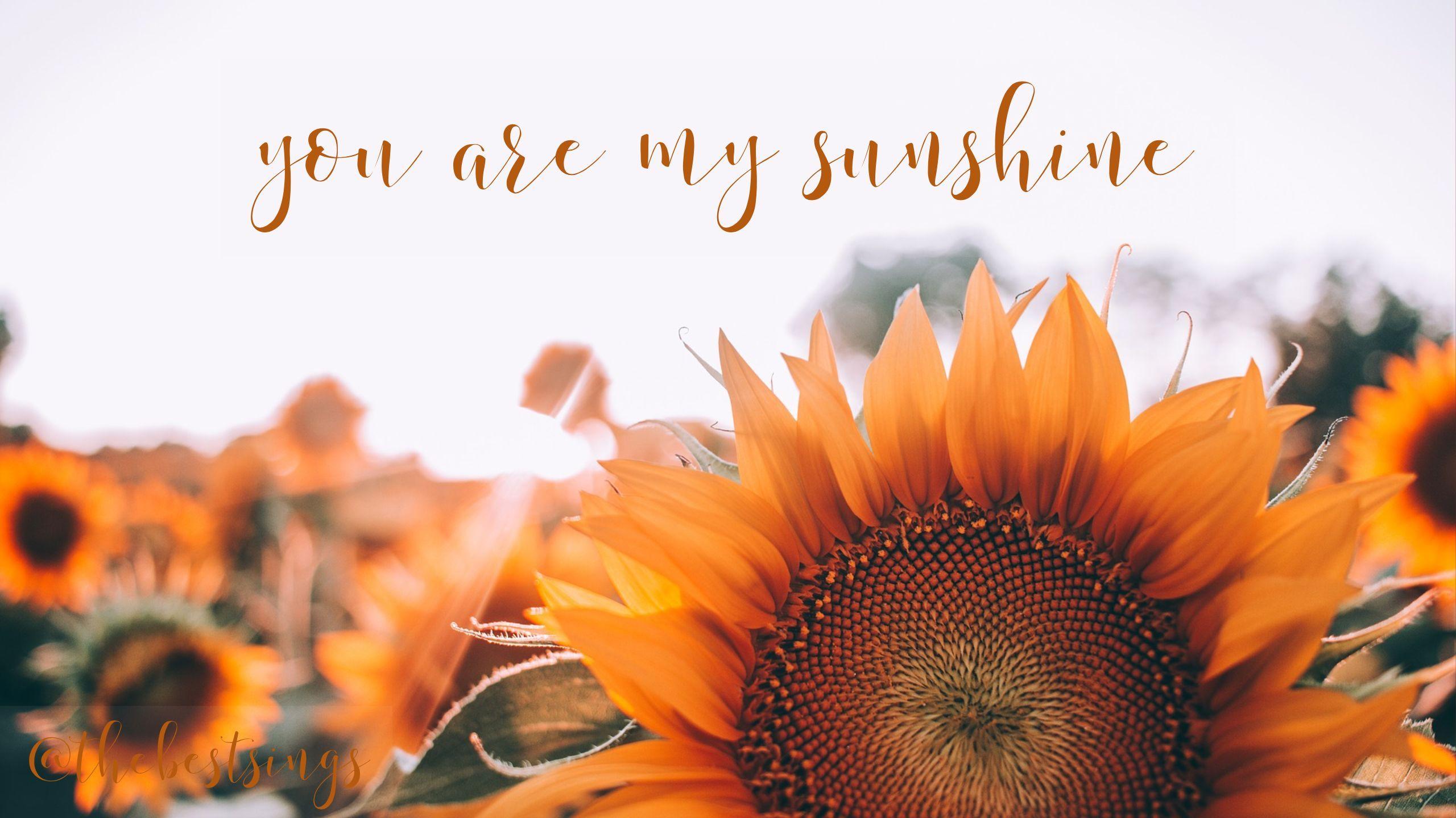 2560x1440 November Wallpaper. November wallpaper, Wallpaper, You are my sunshine